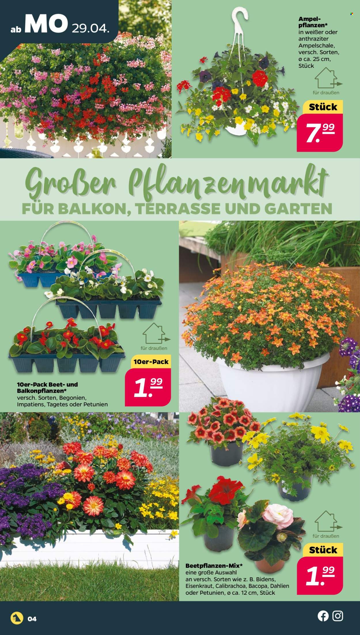 Netto Prospekte  - 29.04.2024 - 4.05.2024. Seite 4