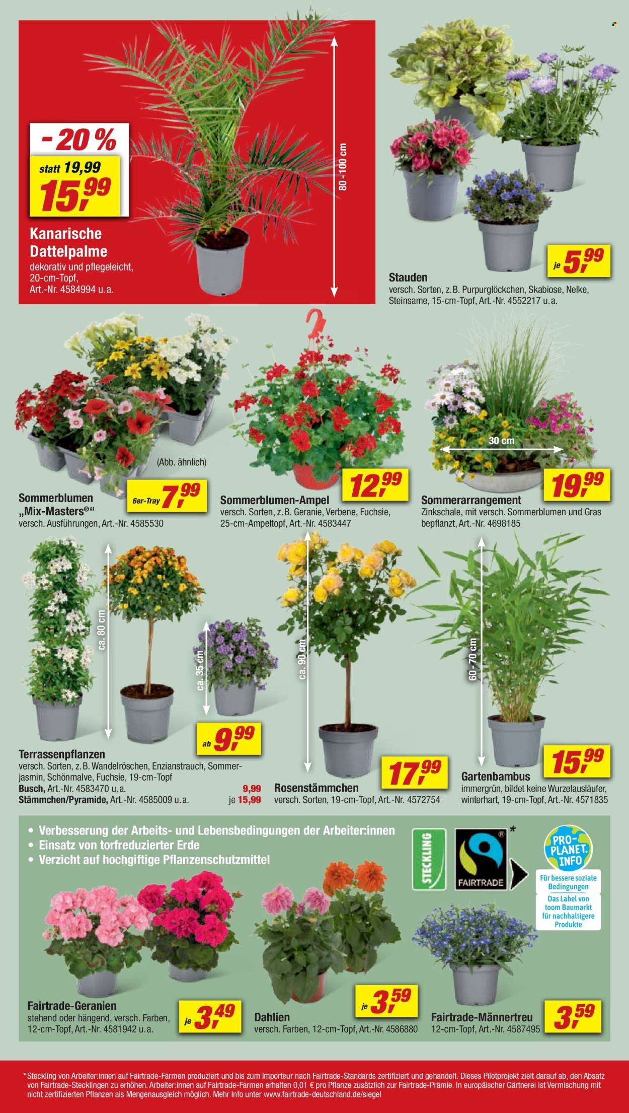 toom Baumarkt Prospekte  - 27.04.2024 - 3.05.2024. Seite 4