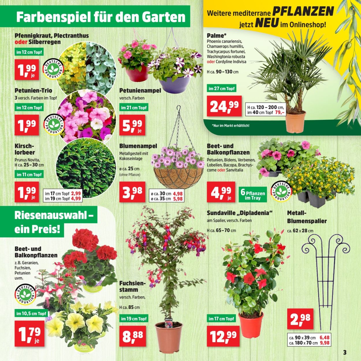 Thomas Philipps Prospekte  - 29.04.2024 - 4.05.2024. Seite 3