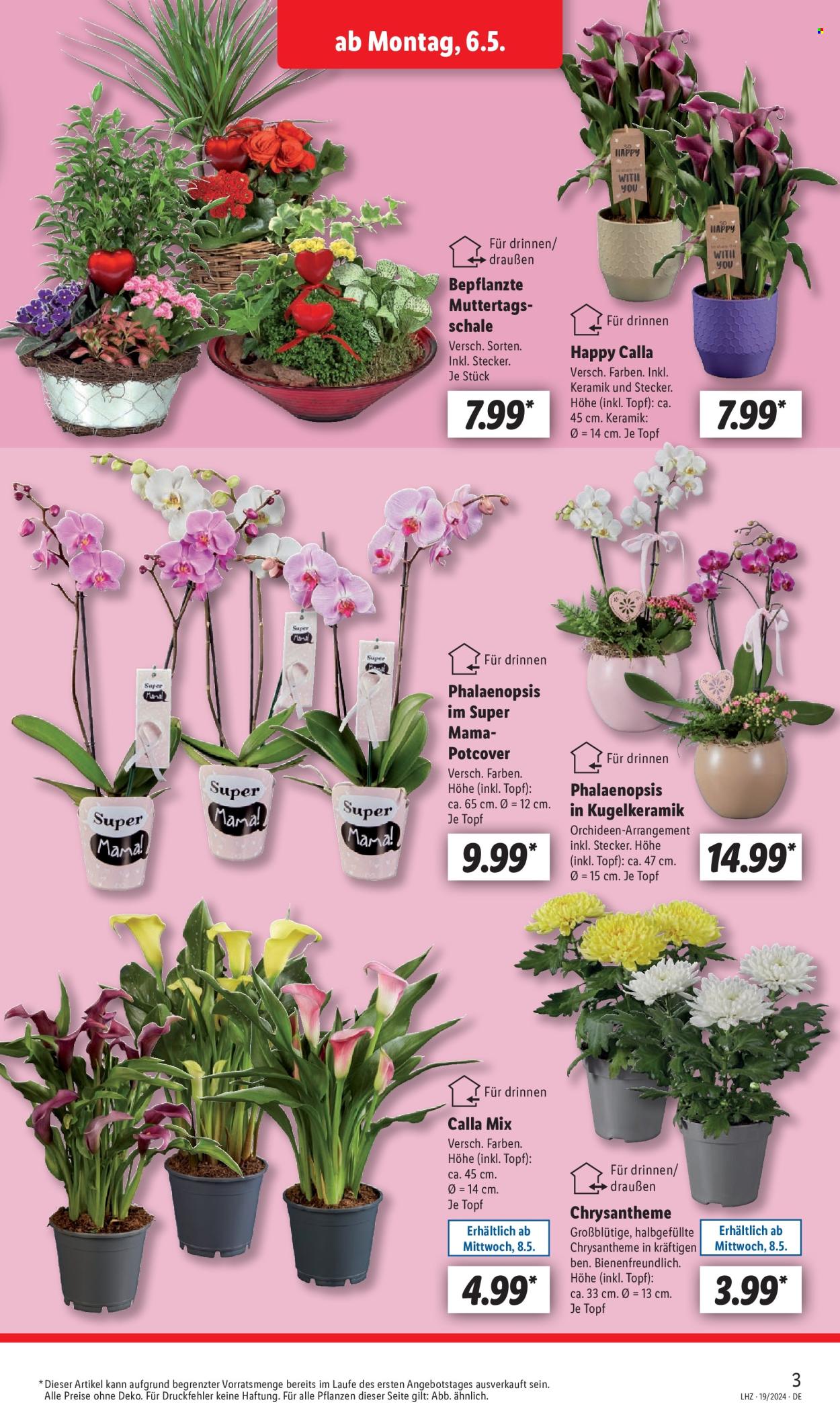 Lidl Prospekte  - 6.05.2024 - 11.05.2024. Seite 3