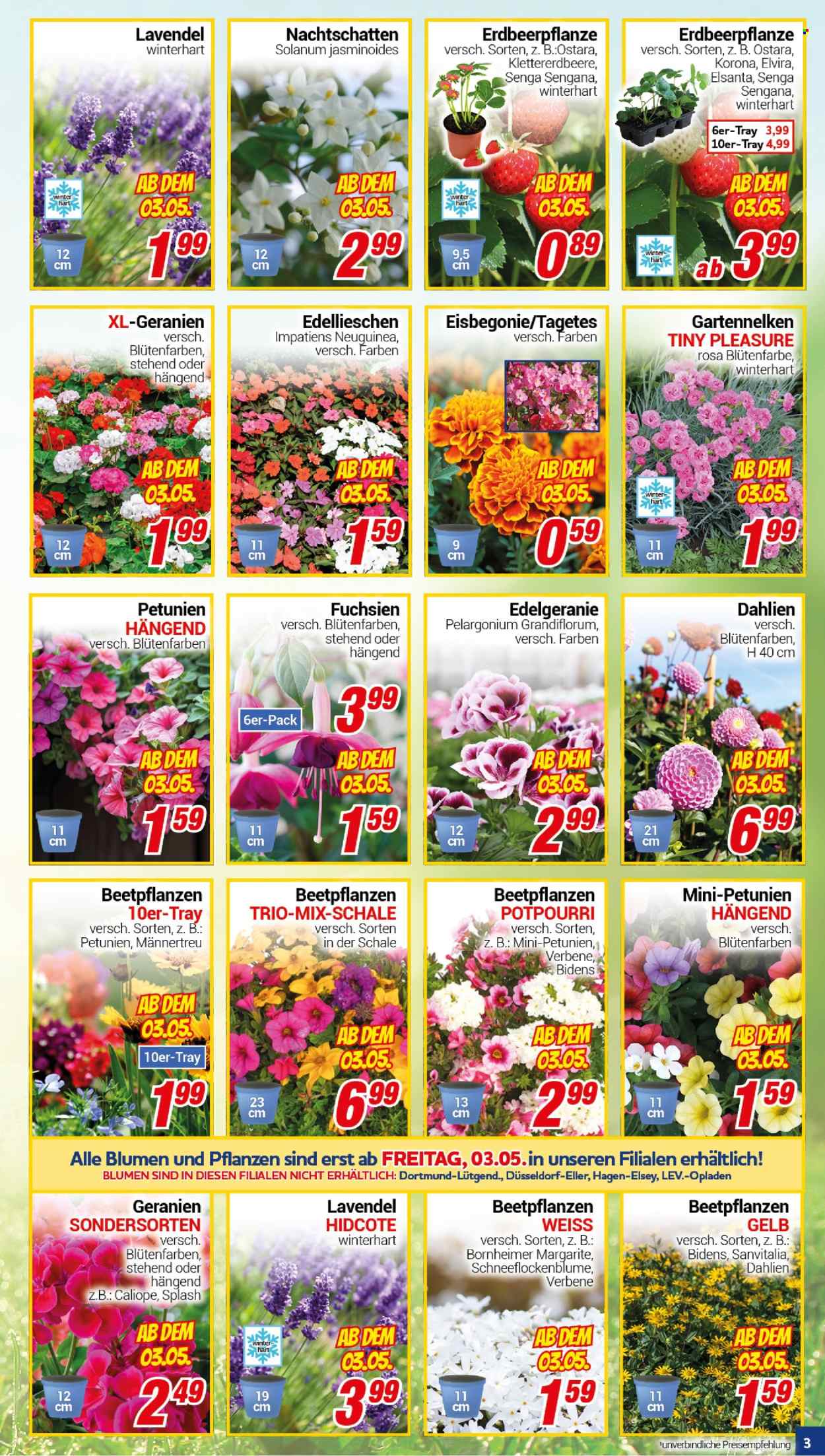 CENTERSHOP Prospekte  - 29.04.2024 - 4.05.2024. Seite 3