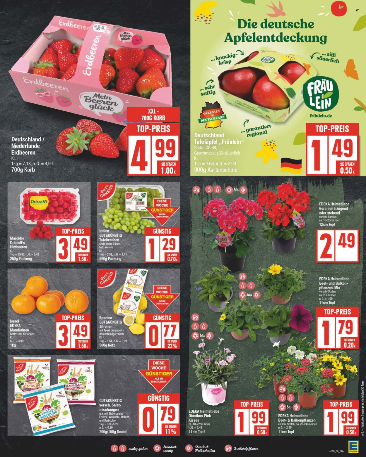 Edeka Prospekte  - 29.04.2024 - 4.05.2024. Seite 3