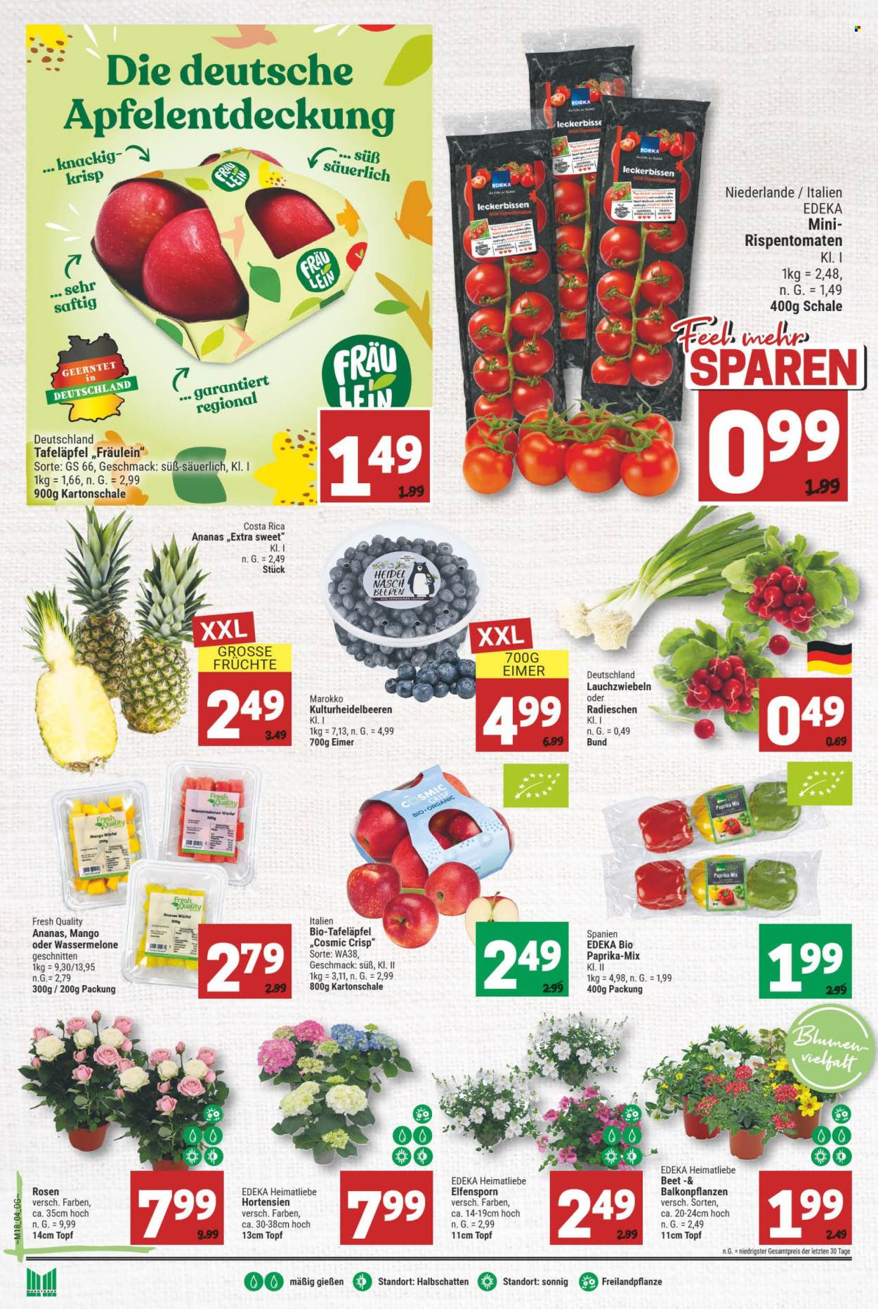 Marktkauf Prospekte  - 29.04.2024 - 4.05.2024. Seite 6