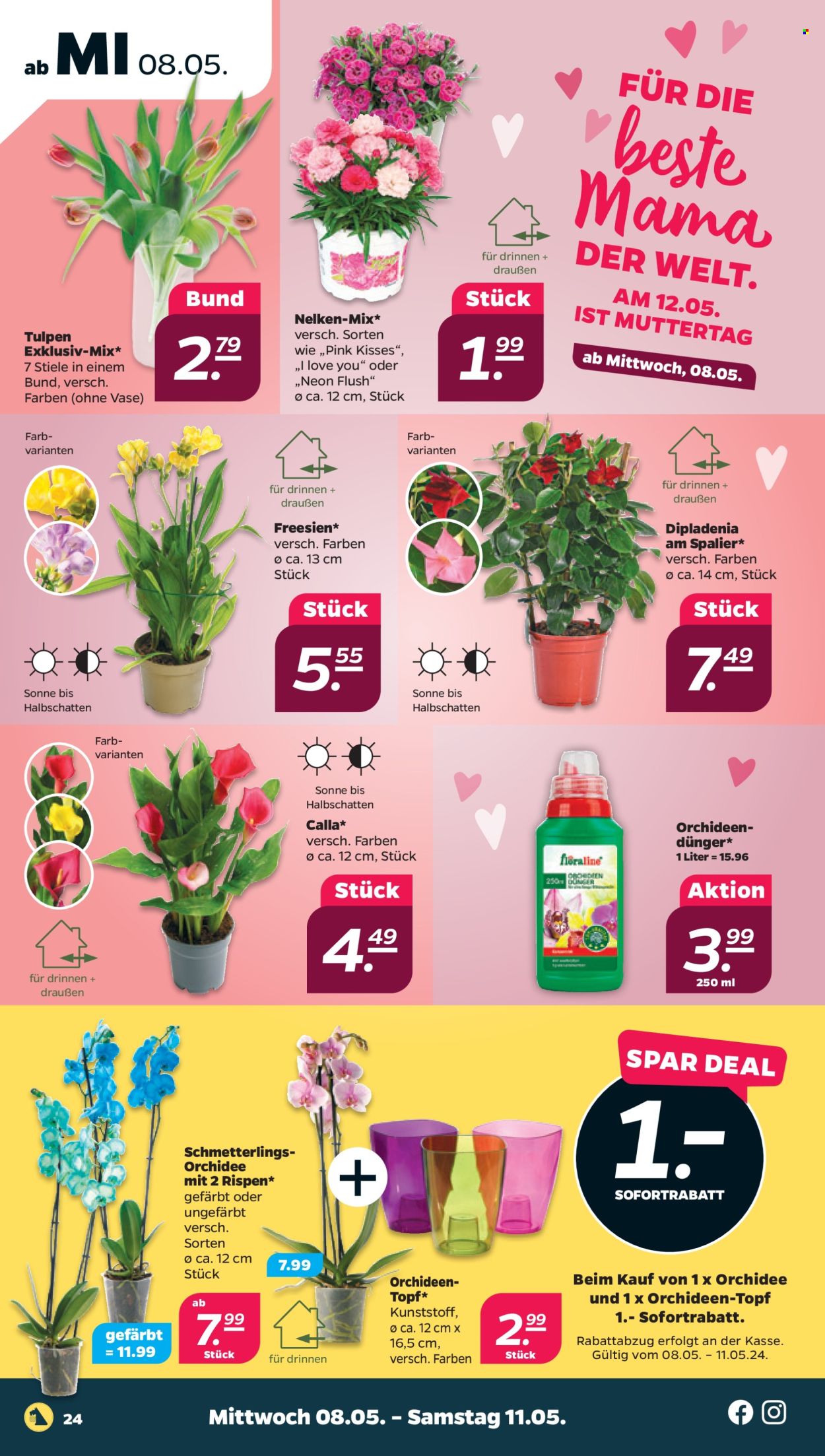 Netto Prospekte  - 6.05.2024 - 11.05.2024. Seite 24