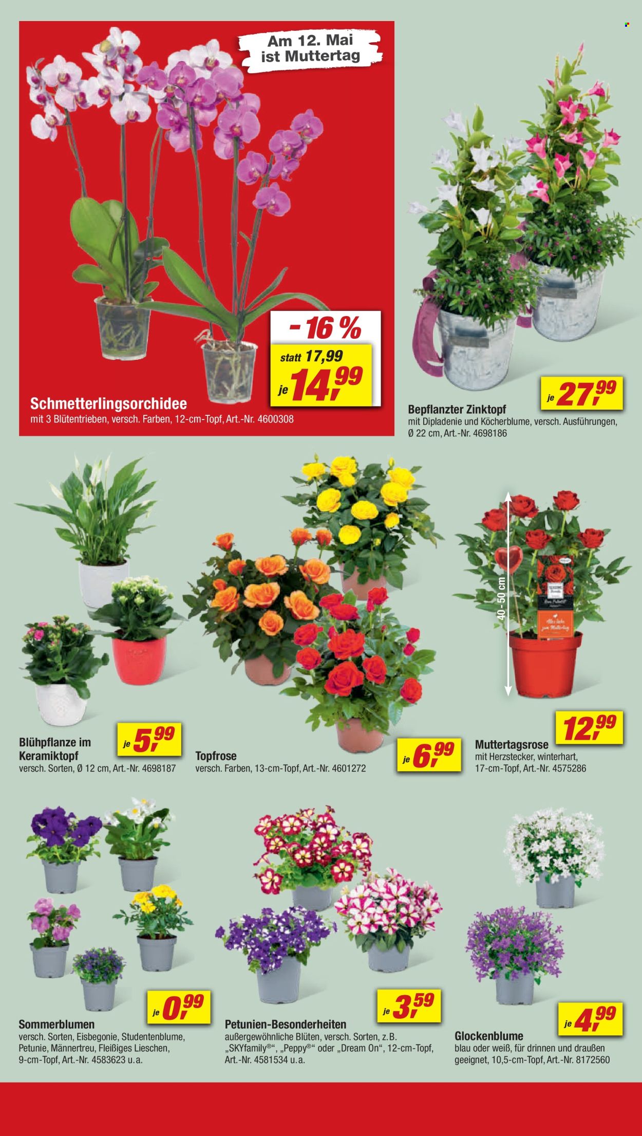 toom Baumarkt Prospekte  - 4.05.2024 - 10.05.2024. Seite 4