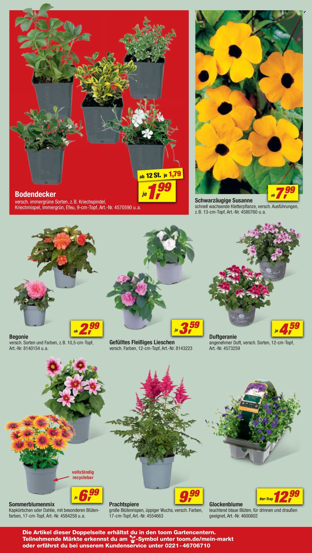 toom Baumarkt Prospekte  - 4.05.2024 - 10.05.2024. Seite 8