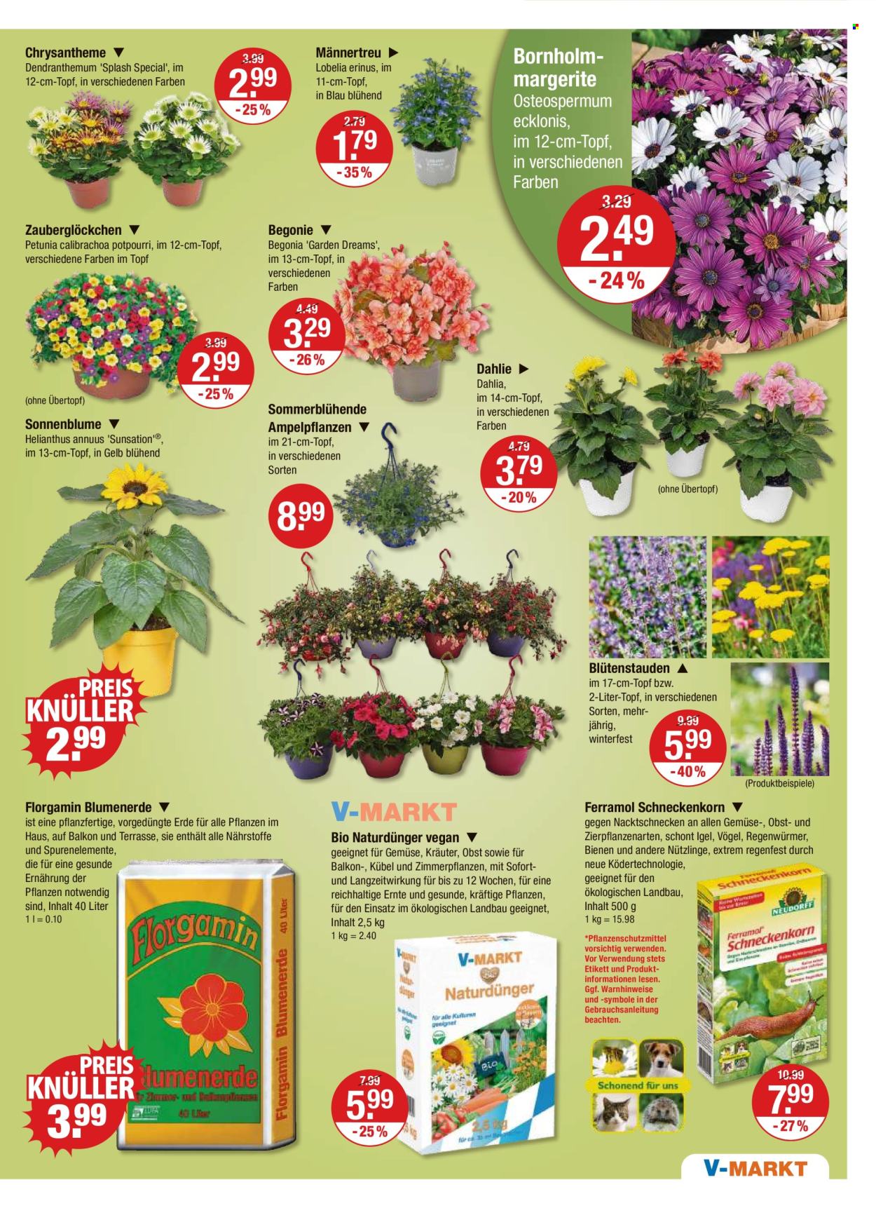 V-Markt Prospekte  - 10.05.2024 - 15.05.2024. Seite 15