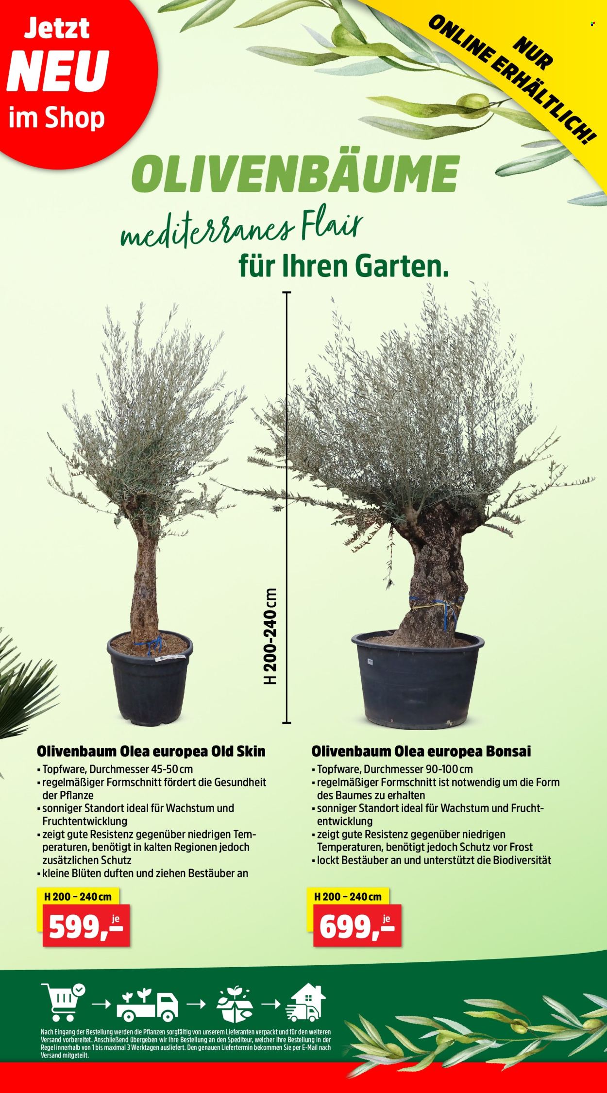 Thomas Philipps Prospekte  - 6.05.2024 - 11.05.2024. Seite 7