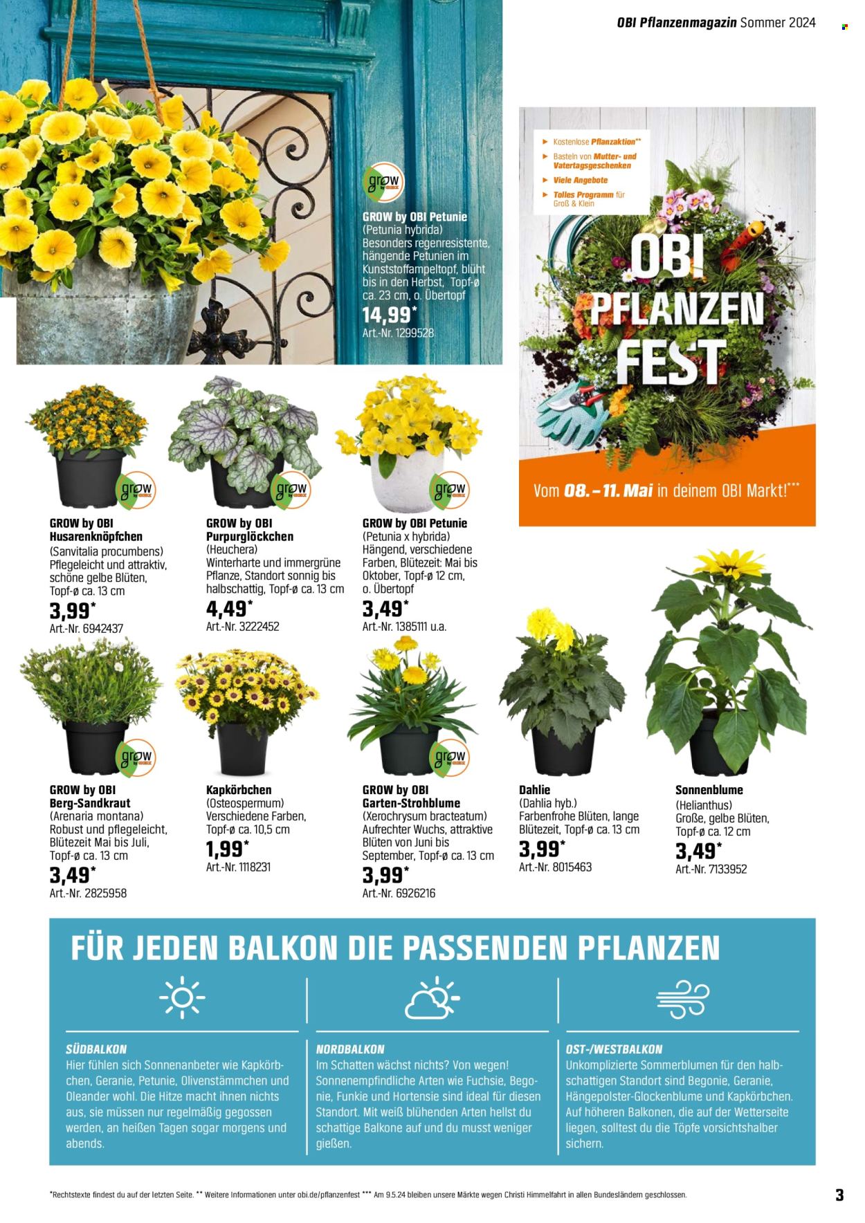 OBI Prospekte  - 3.05.2024 - 25.05.2024. Seite 3