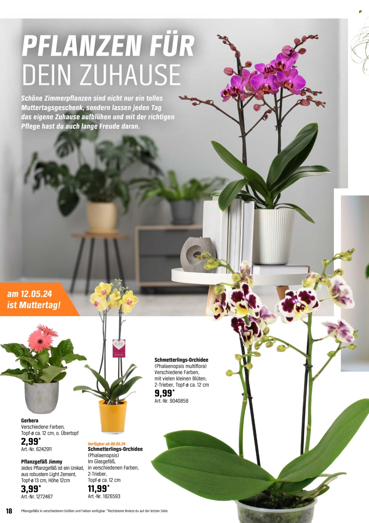 OBI Prospekte  - 3.05.2024 - 25.05.2024. Seite 18
