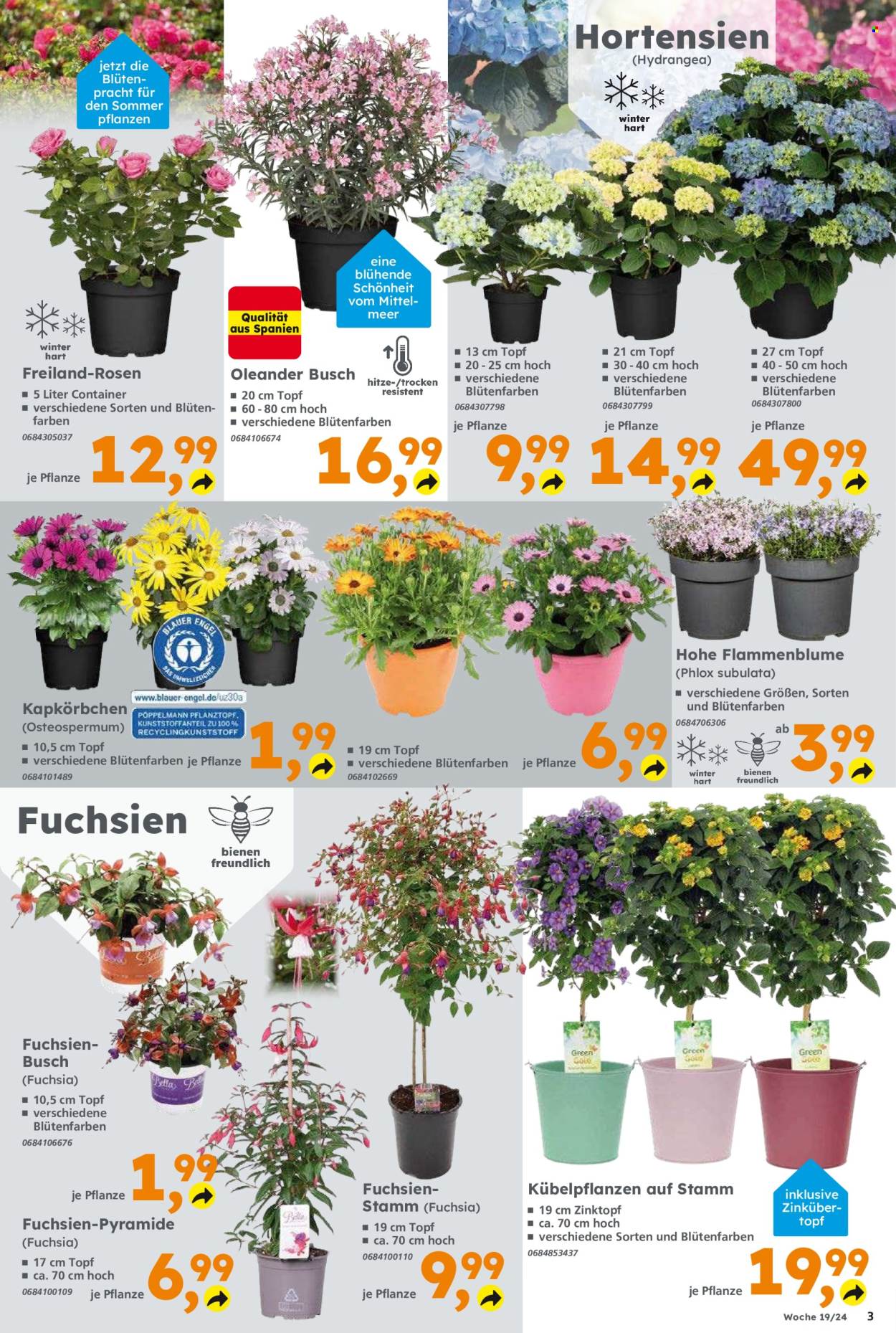 Globus Baumarkt Prospekte  - 6.05.2024 - 11.05.2024. Seite 3