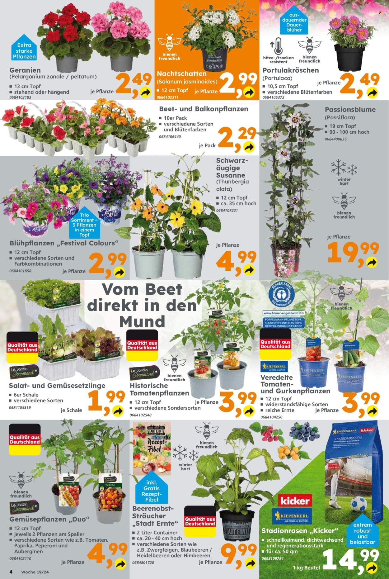 Globus Baumarkt Prospekte  - 6.05.2024 - 11.05.2024. Seite 4