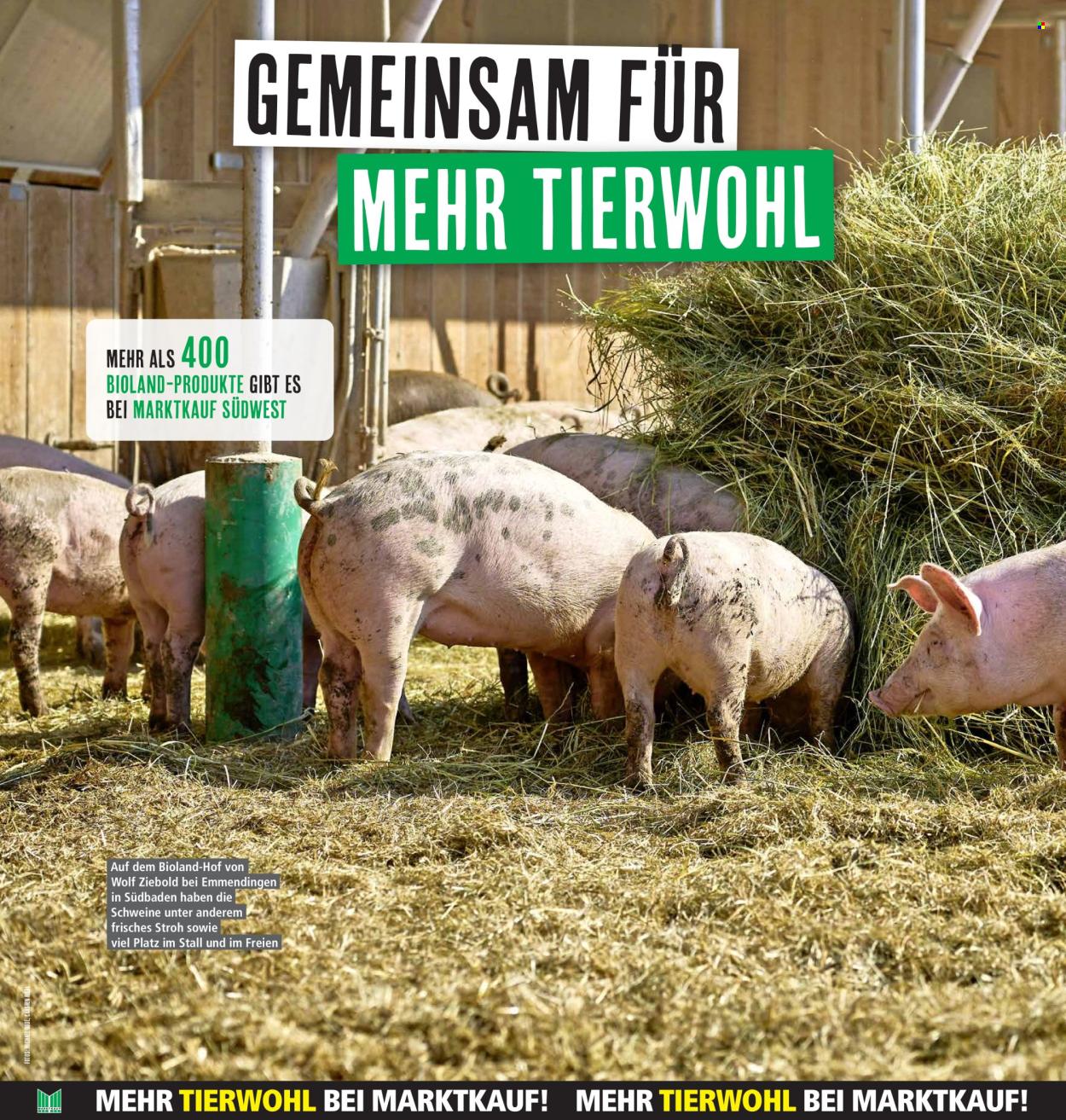 Marktkauf Prospekte  - 6.05.2024 - 11.05.2024. Seite 8