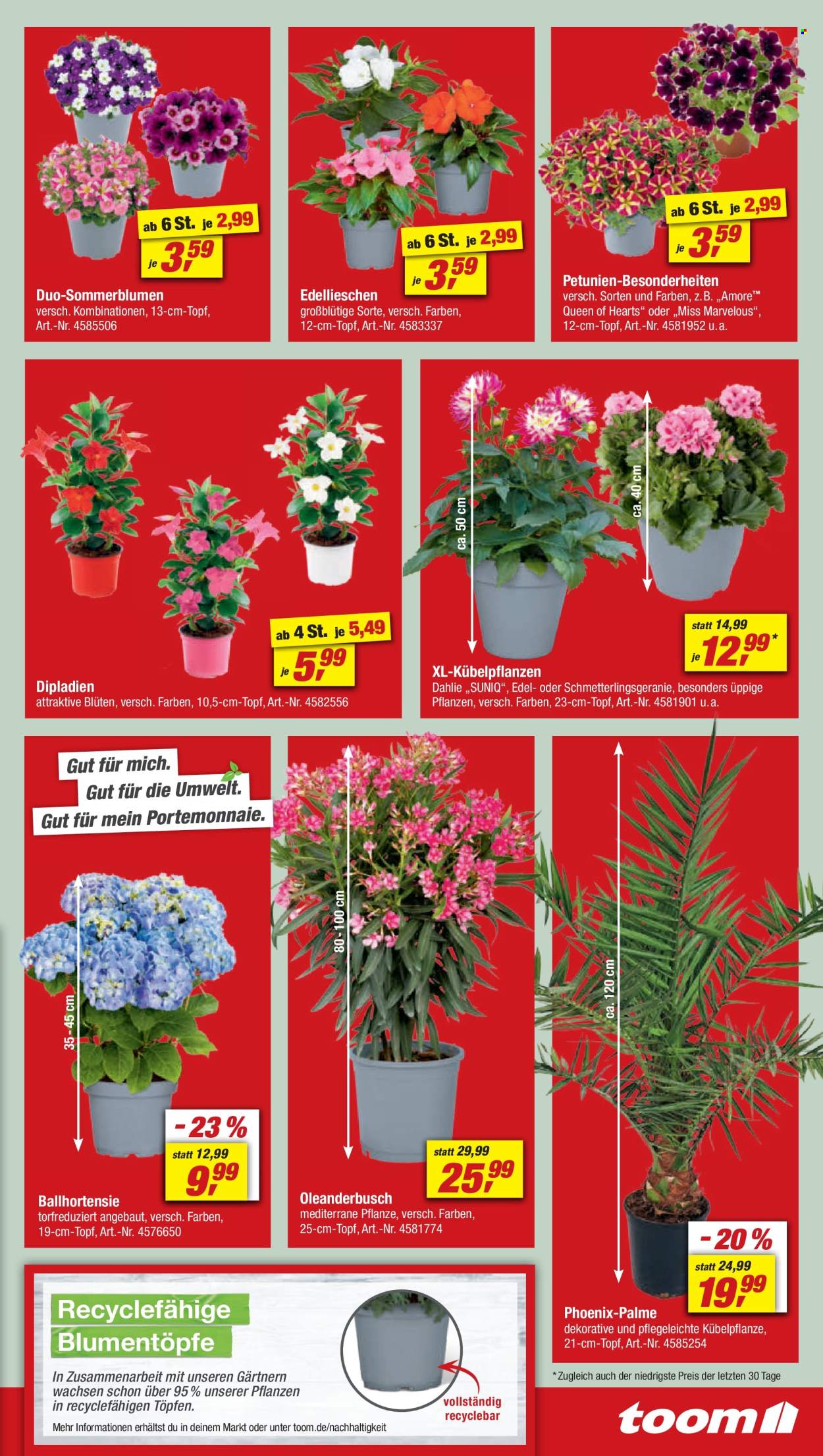 toom Baumarkt Prospekte  - 11.05.2024 - 17.05.2024. Seite 3
