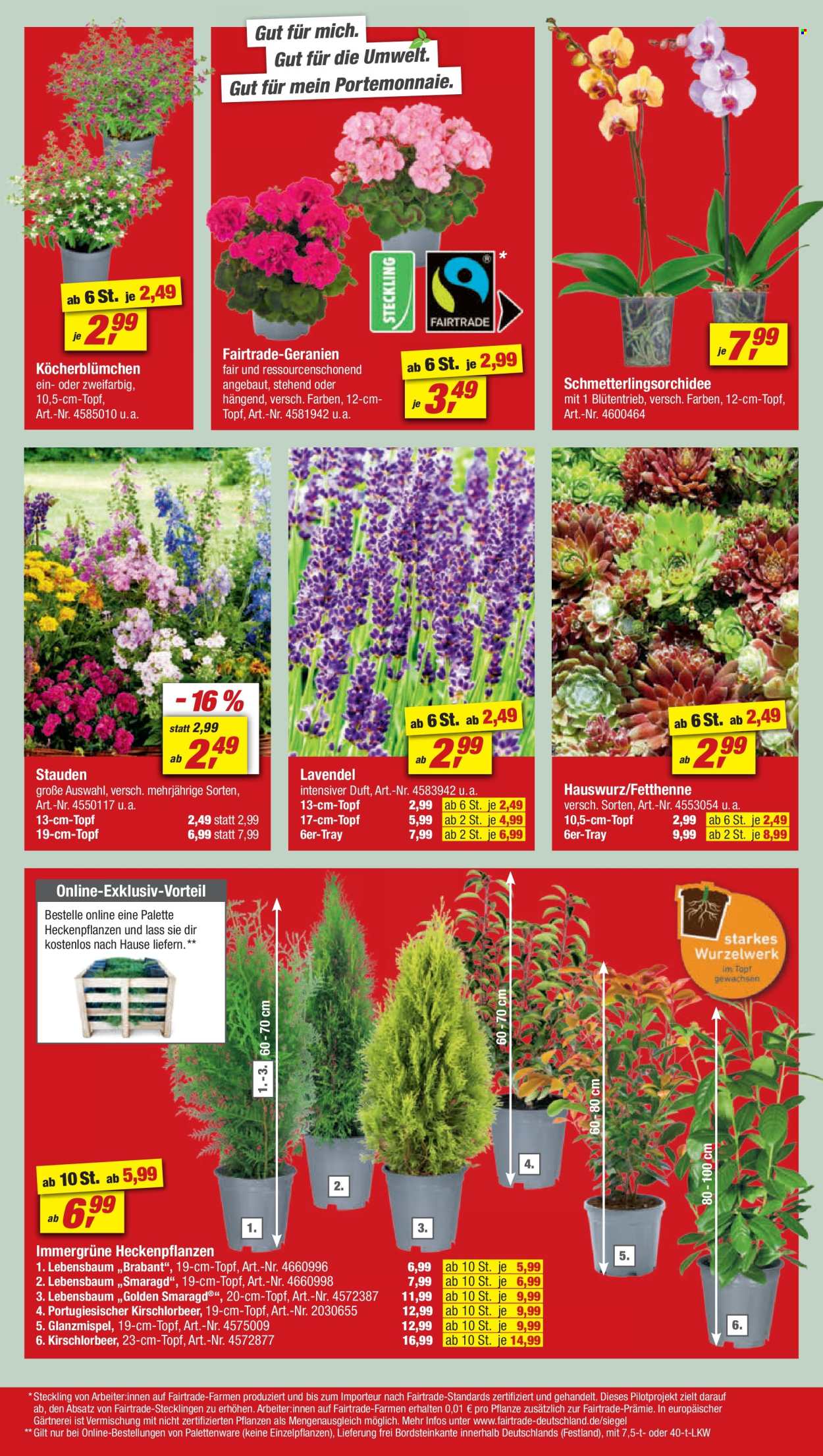 toom Baumarkt Prospekte  - 11.05.2024 - 17.05.2024. Seite 4