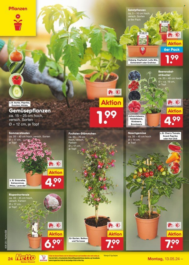 Netto Marken-Discount Prospekte  - 13.05.2024 - 18.05.2024. Seite 28