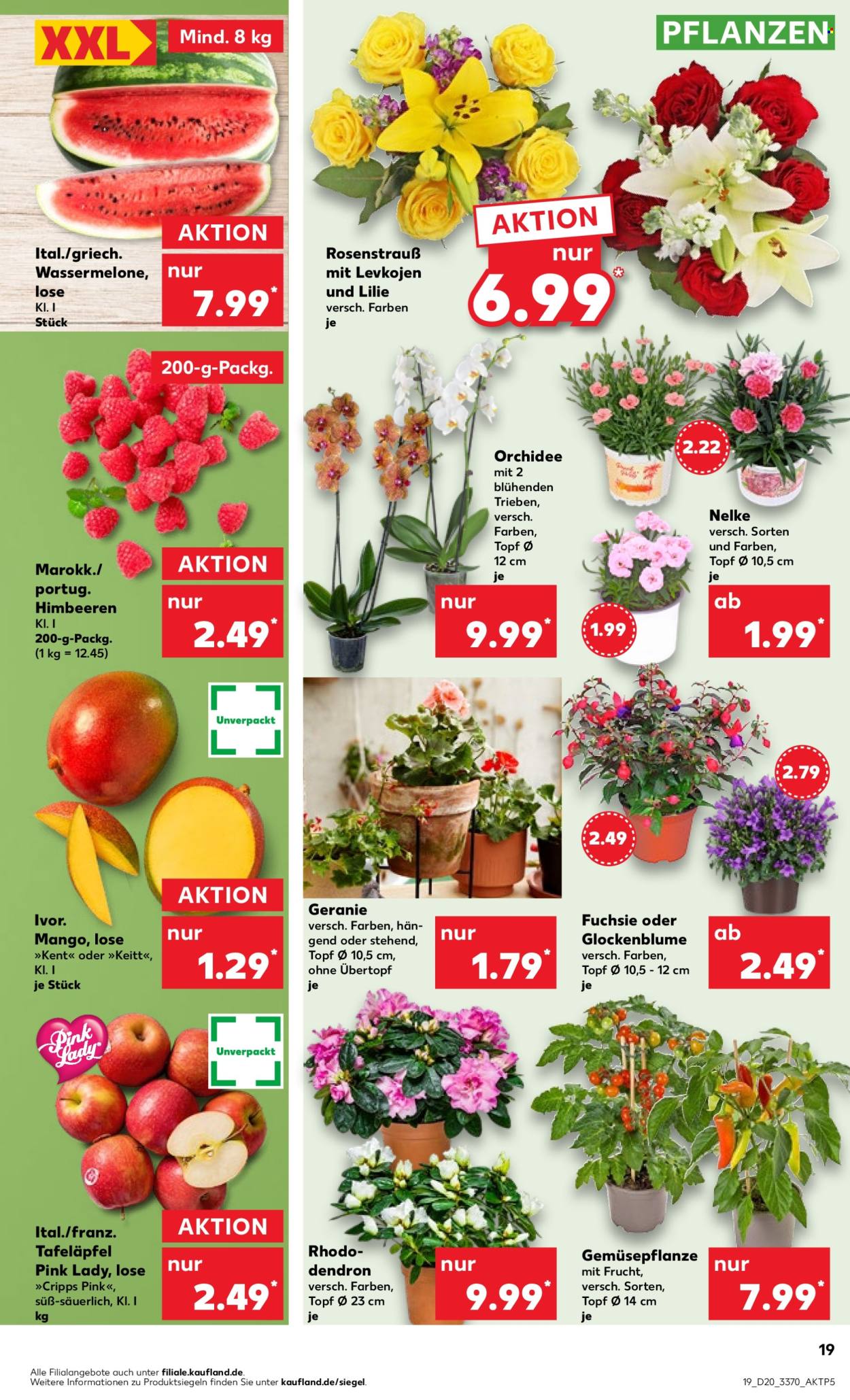 Kaufland Prospekte  - 16.05.2024 - 22.05.2024. Seite 19