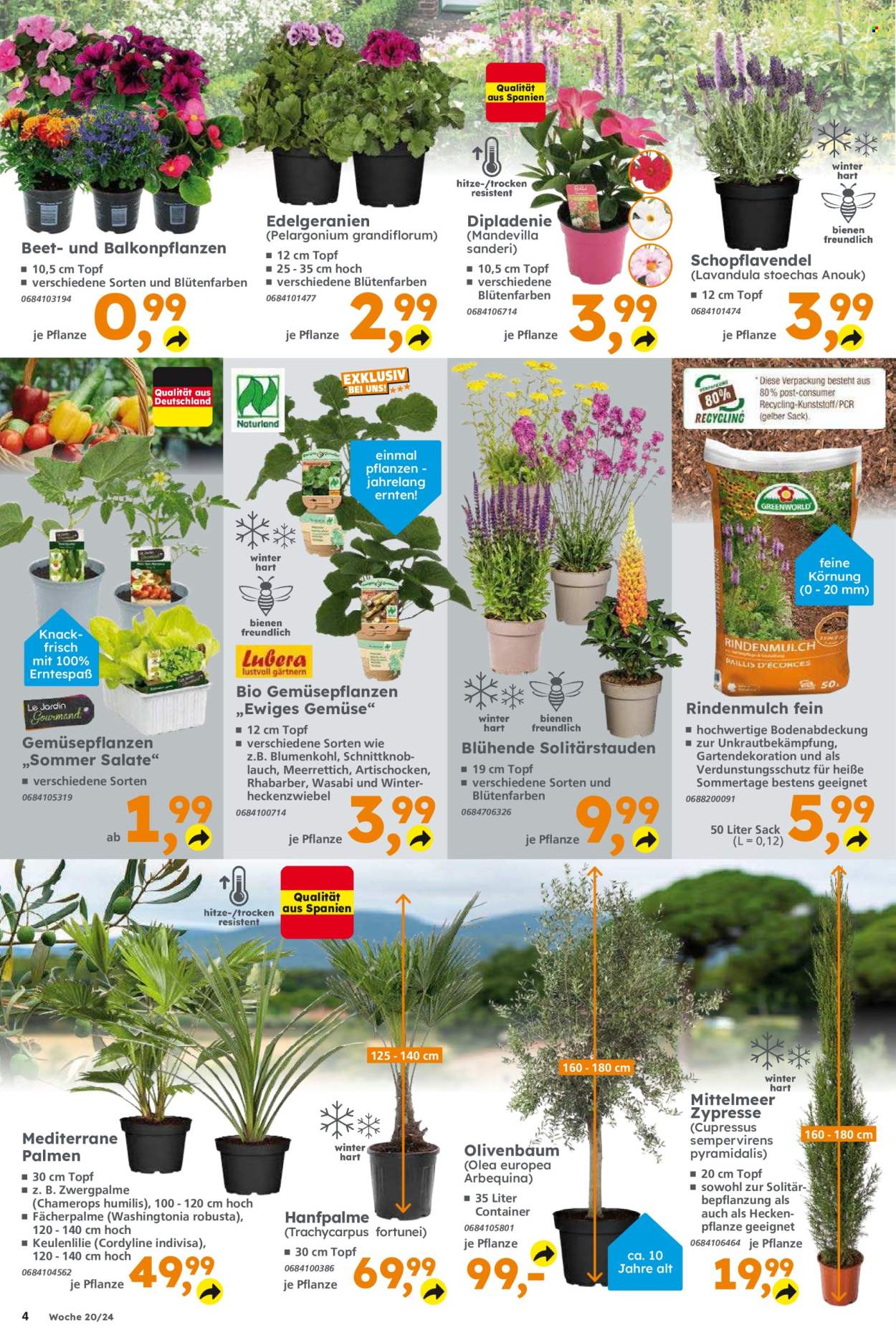 Globus Baumarkt Prospekte  - 13.05.2024 - 18.05.2024. Seite 4