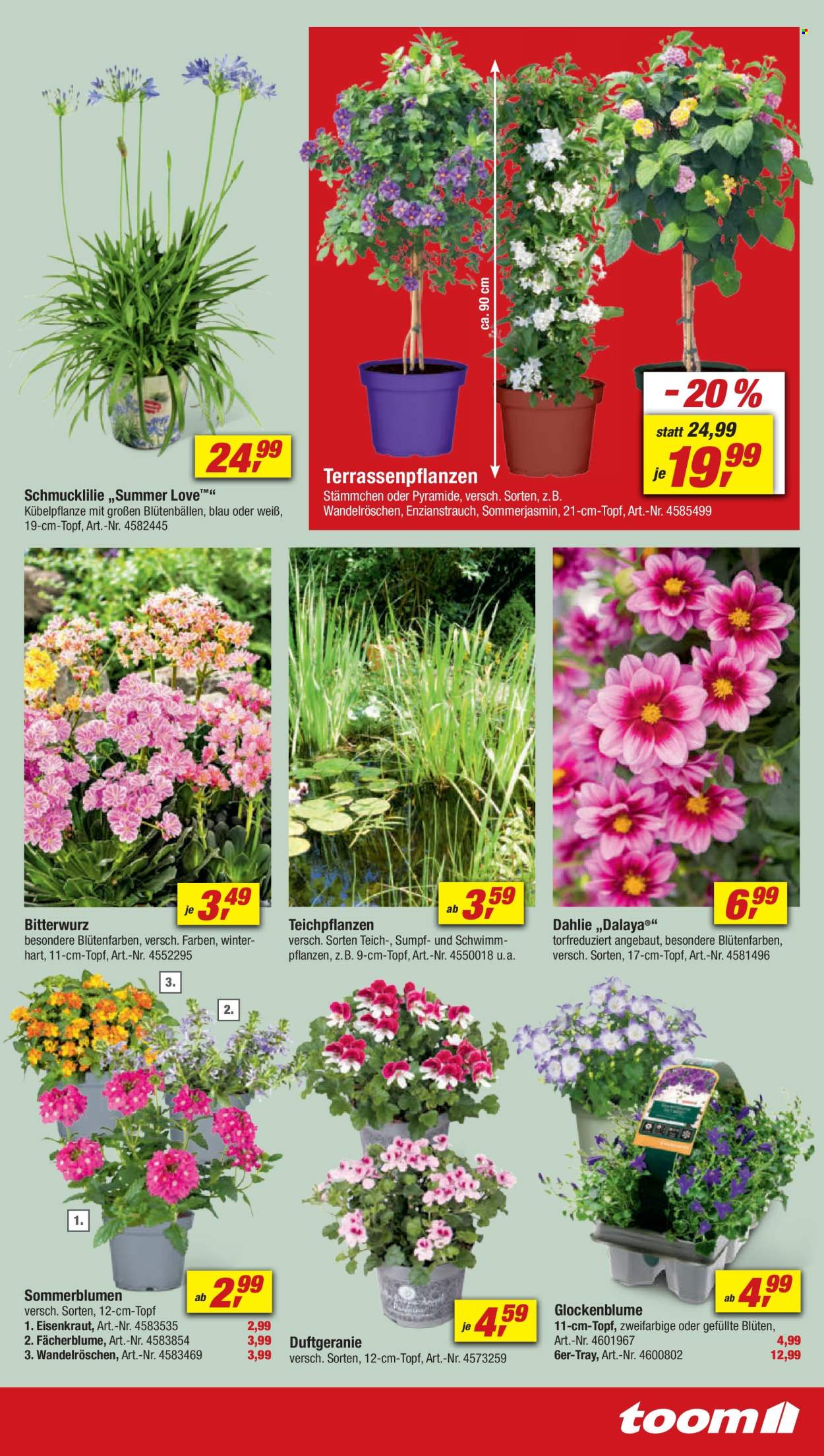 toom Baumarkt Prospekte  - 18.05.2024 - 24.05.2024. Seite 5