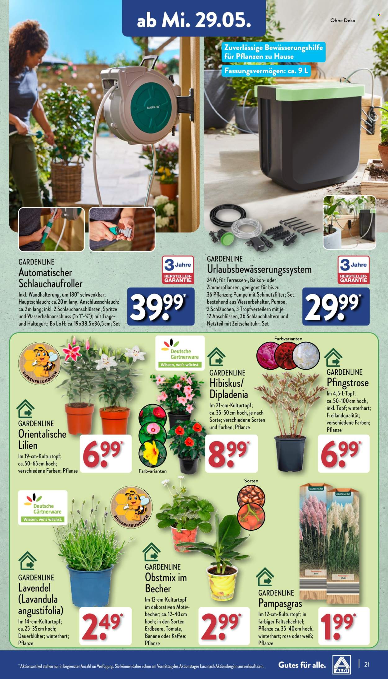 ALDI Nord Prospekte  - 27.05.2024 - 1.06.2024. Seite 21