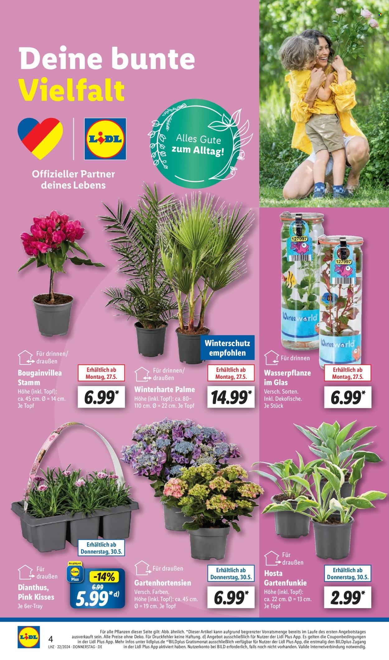 Lidl Prospekte  - 27.05.2024 - 1.06.2024. Seite 4