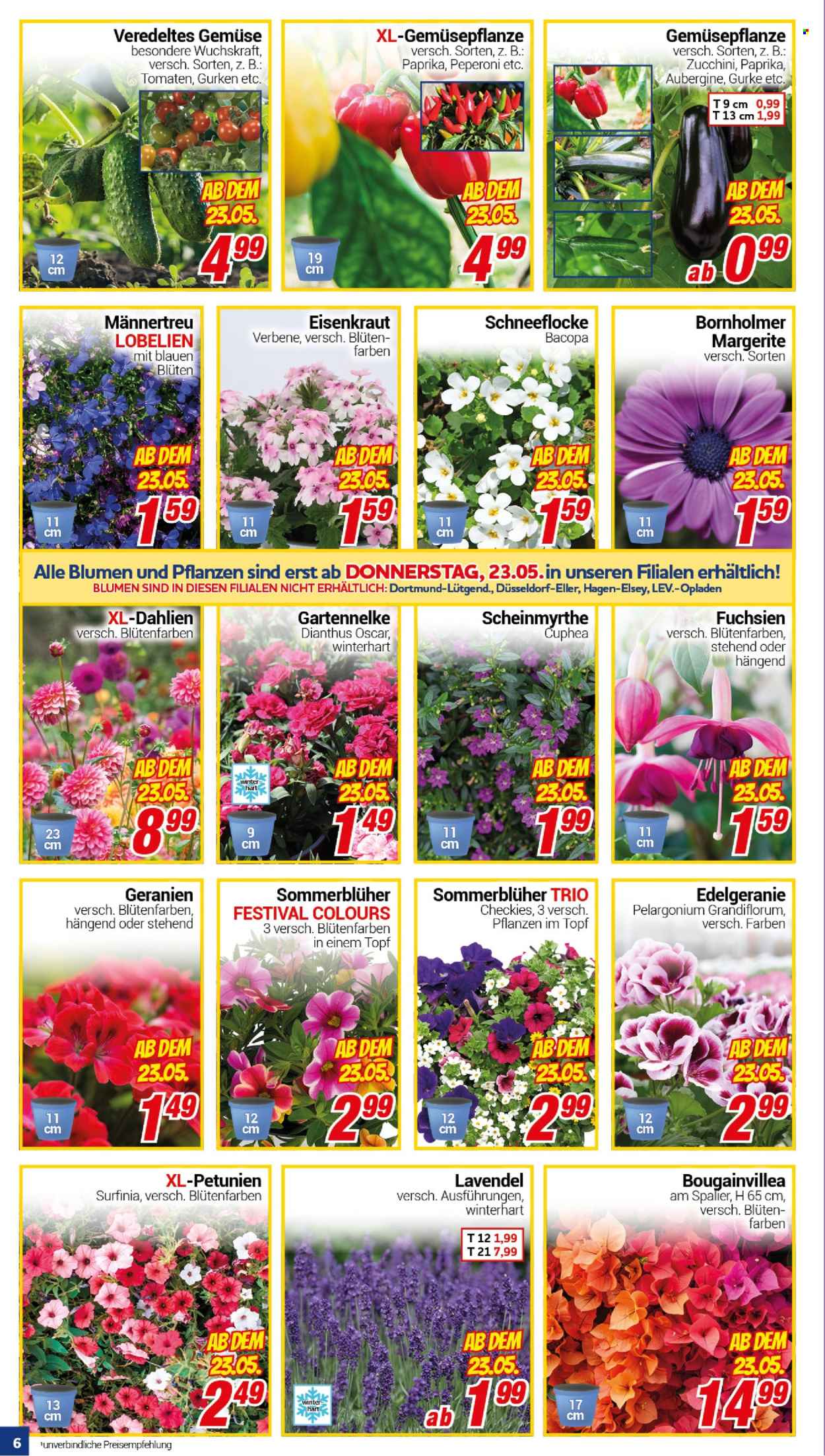 CENTERSHOP Prospekte  - 21.05.2024 - 25.05.2024. Seite 6