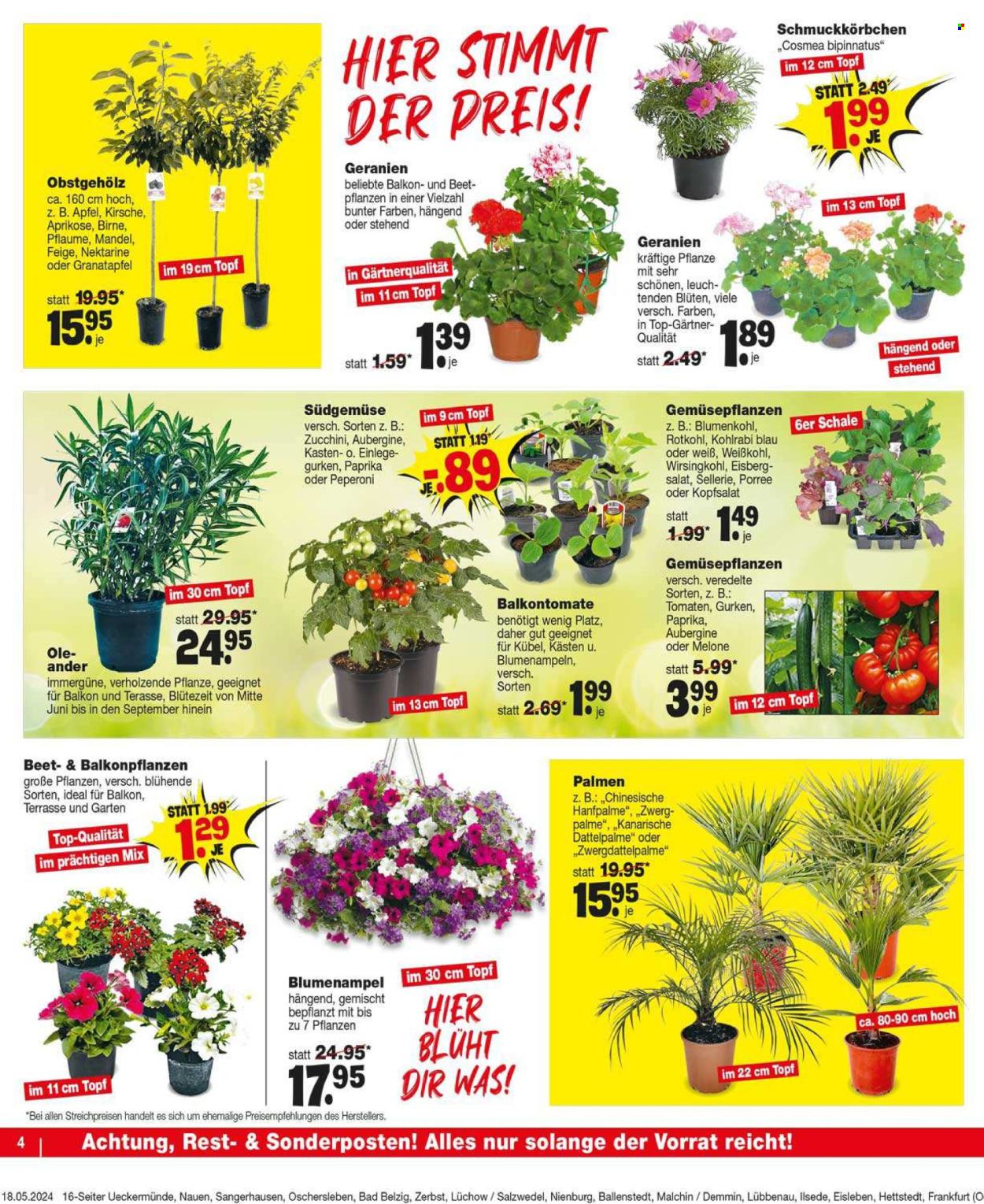 Repo Prospekte  - 21.05.2024 - 25.05.2024. Seite 4