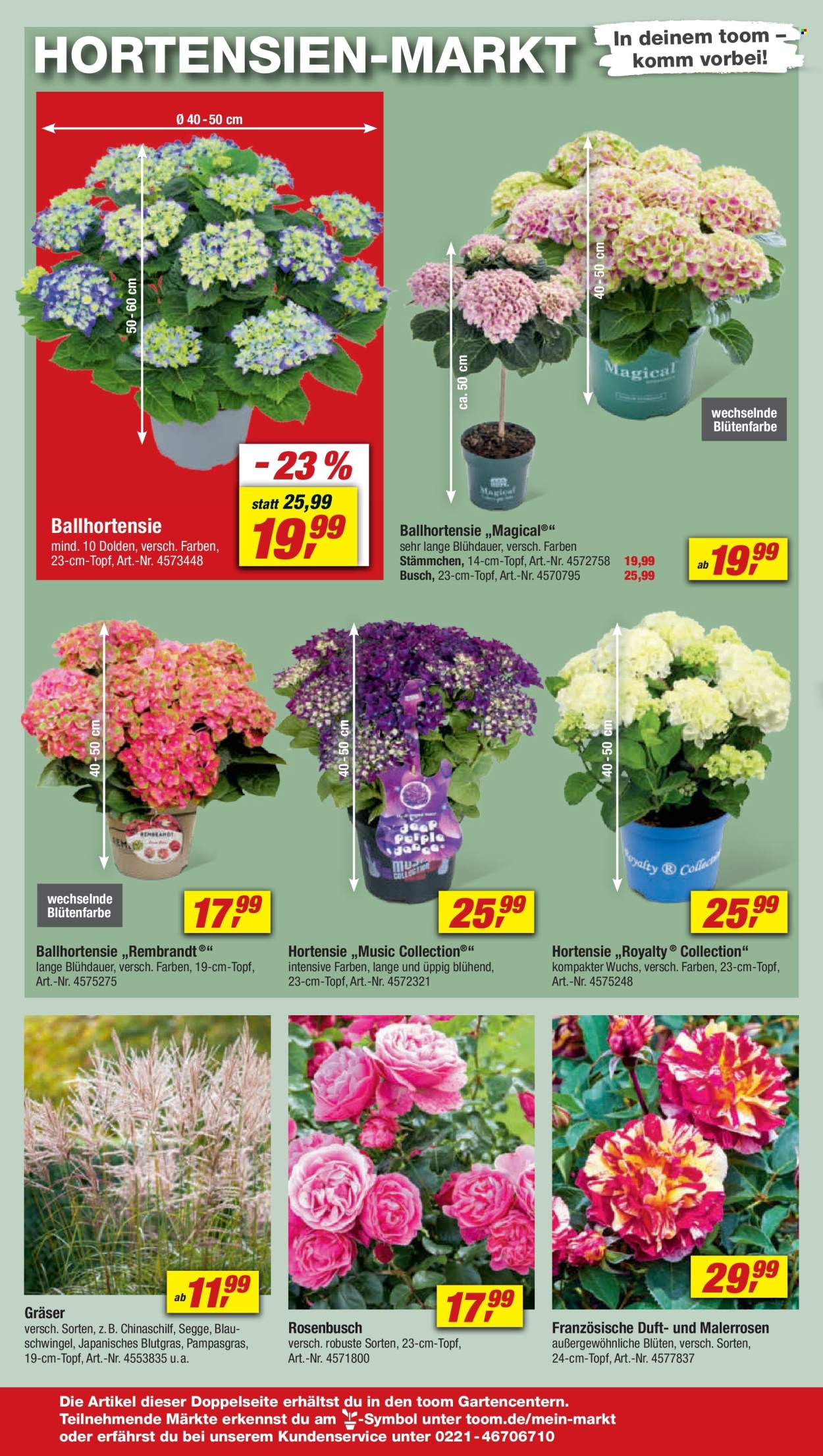 toom Baumarkt Prospekte  - 25.05.2024 - 31.05.2024. Seite 6