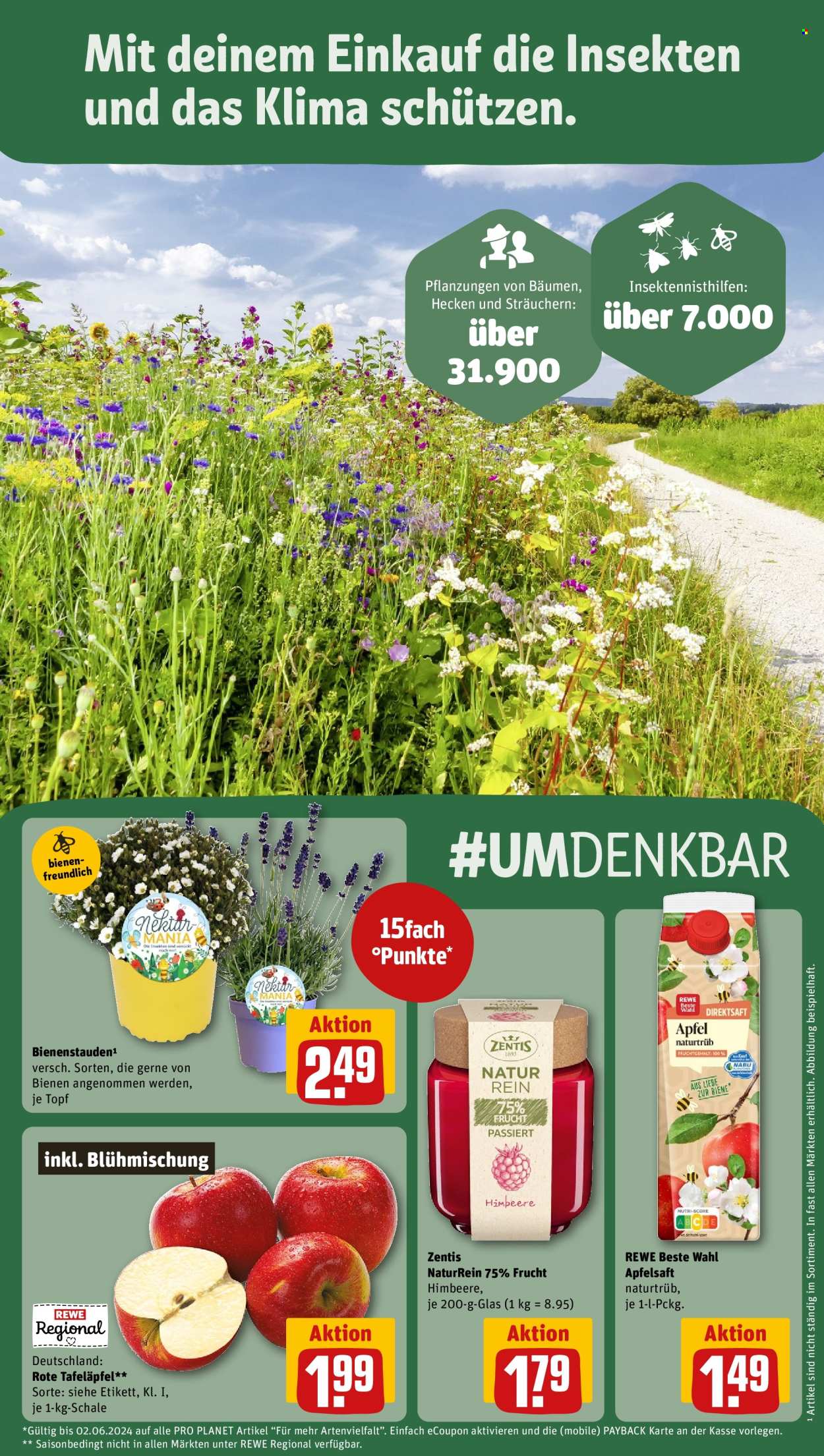 REWE Prospekte  - 21.05.2024 - 25.05.2024. Seite 25