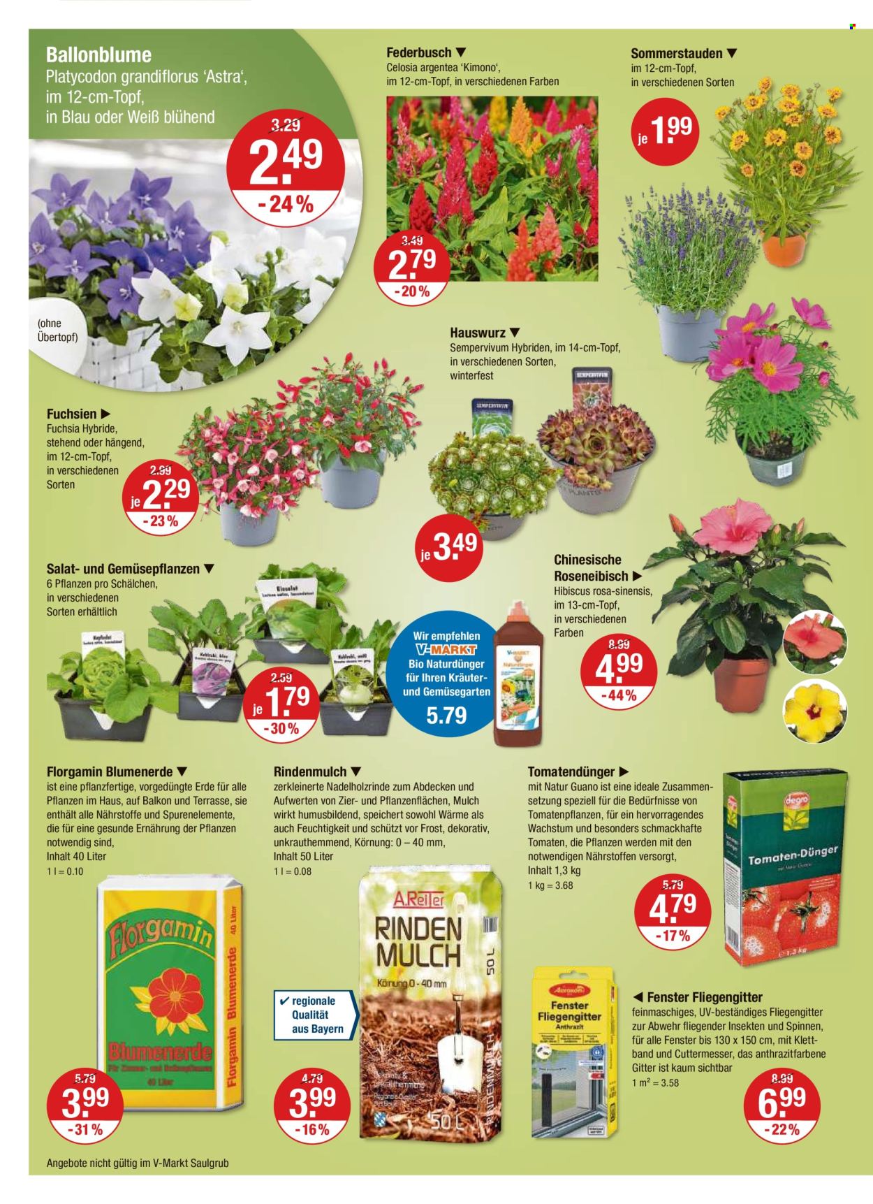 V-Markt Prospekte  - 31.05.2024 - 5.06.2024. Seite 20