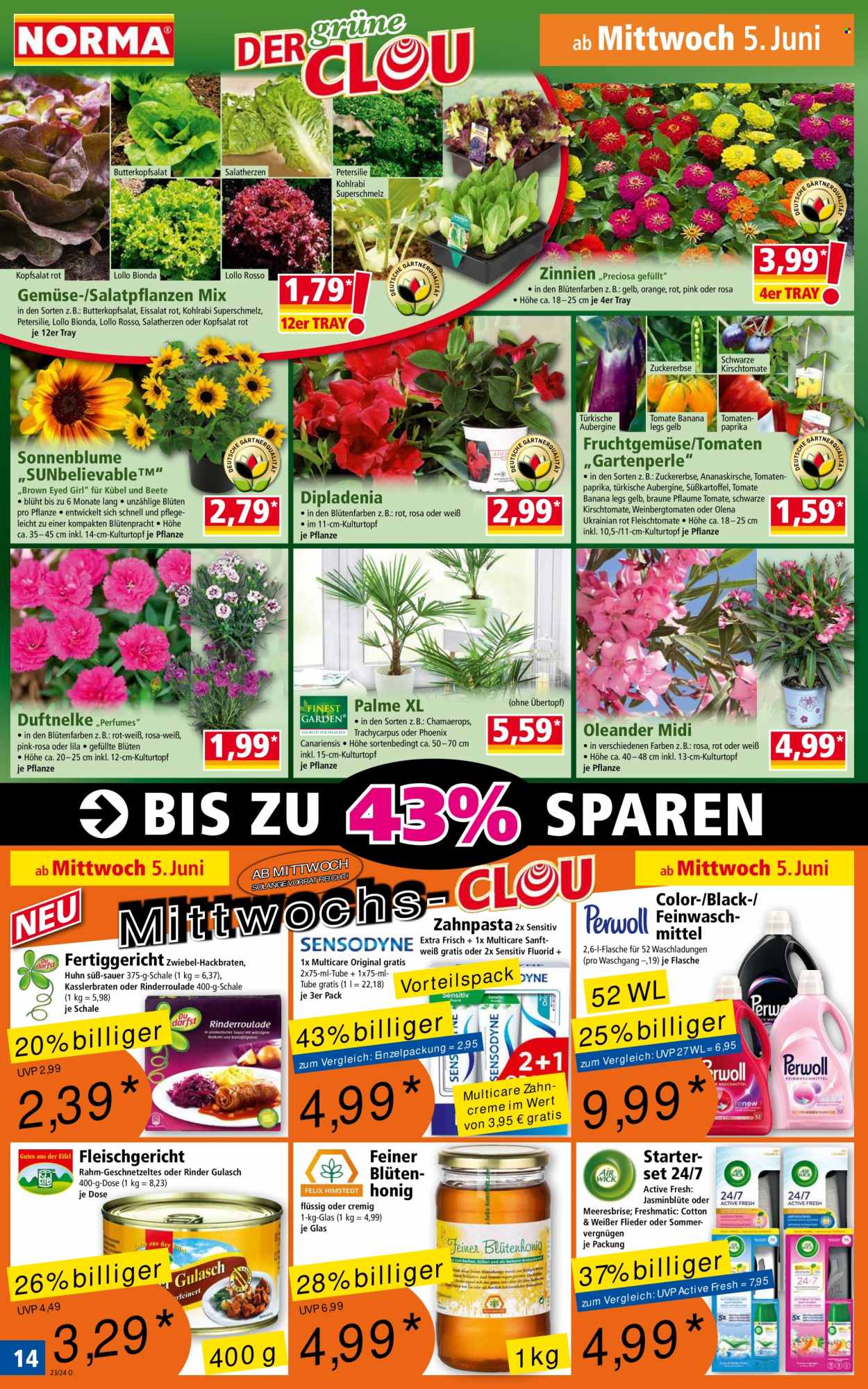 Norma Prospekte  - 3.06.2024 - 9.06.2024. Seite 14