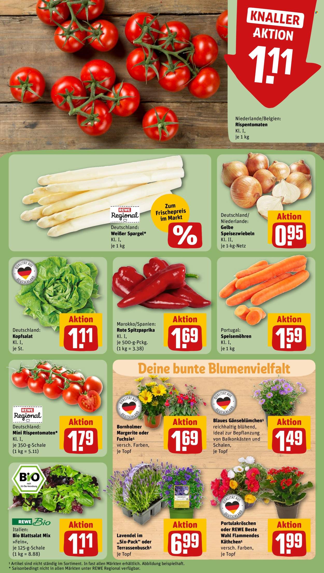 REWE Prospekte  - 27.05.2024 - 1.06.2024. Seite 7
