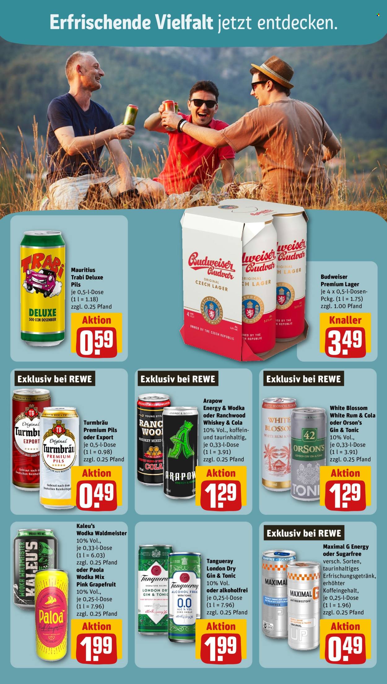 REWE Prospekte  - 27.05.2024 - 1.06.2024. Seite 19
