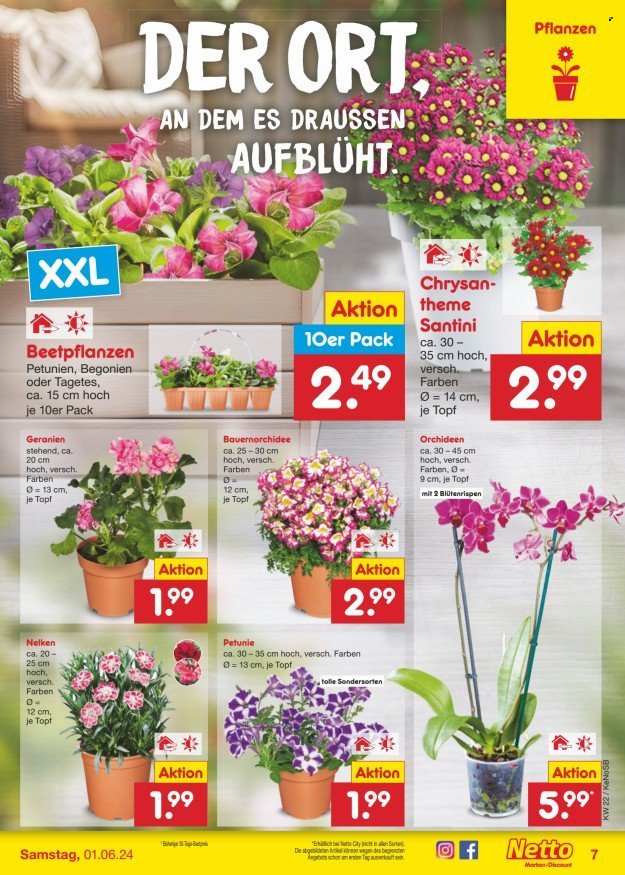 Netto Marken-Discount Prospekte  - 27.05.2024 - 1.06.2024. Seite 9