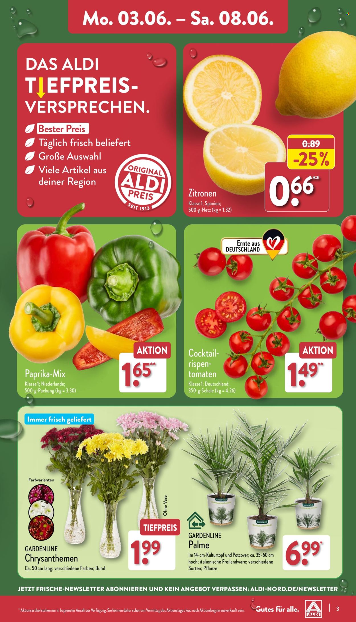 ALDI Nord Prospekte  - 3.06.2024 - 8.06.2024. Seite 3