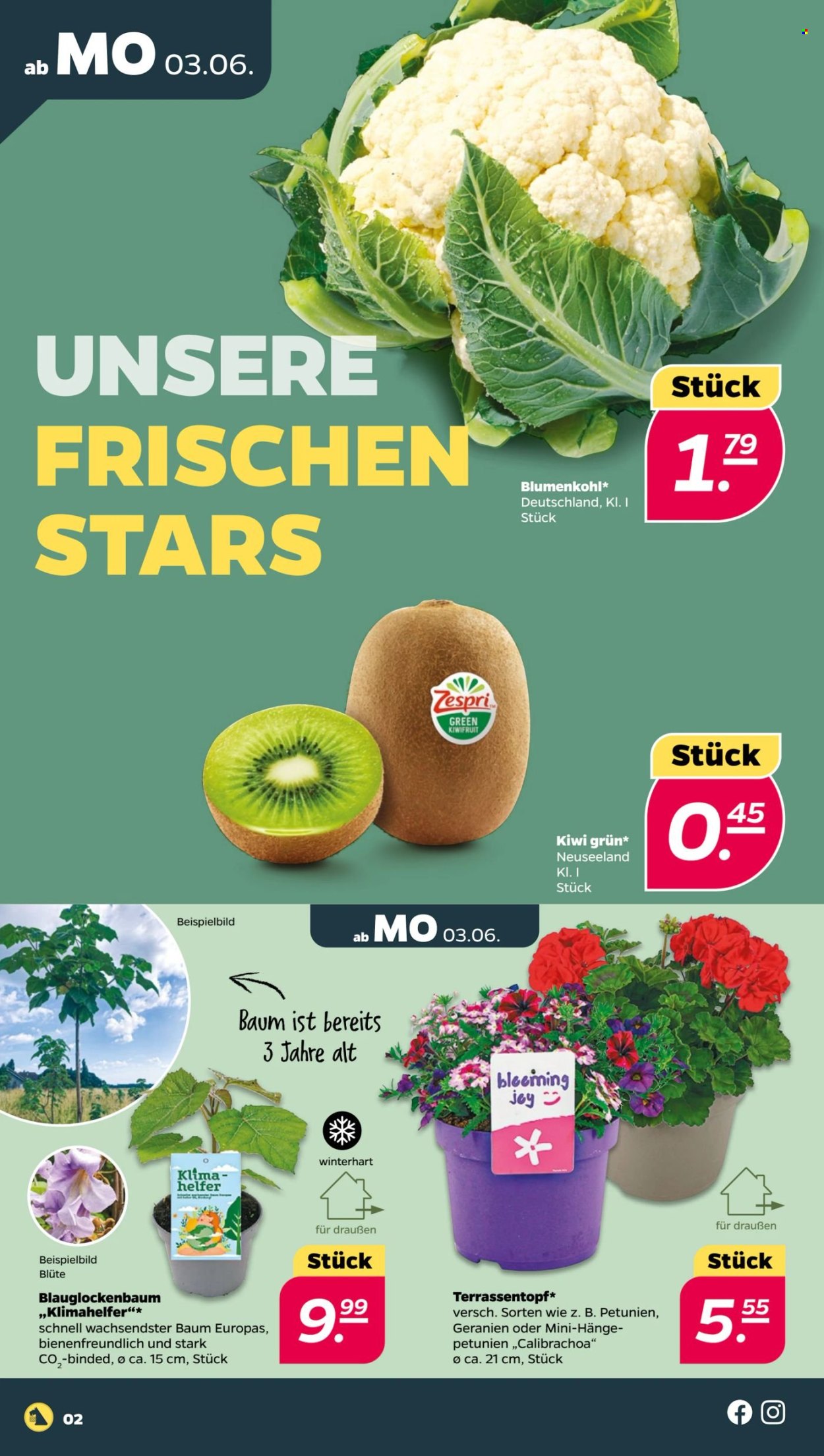 Netto Prospekte  - 3.06.2024 - 8.06.2024. Seite 2