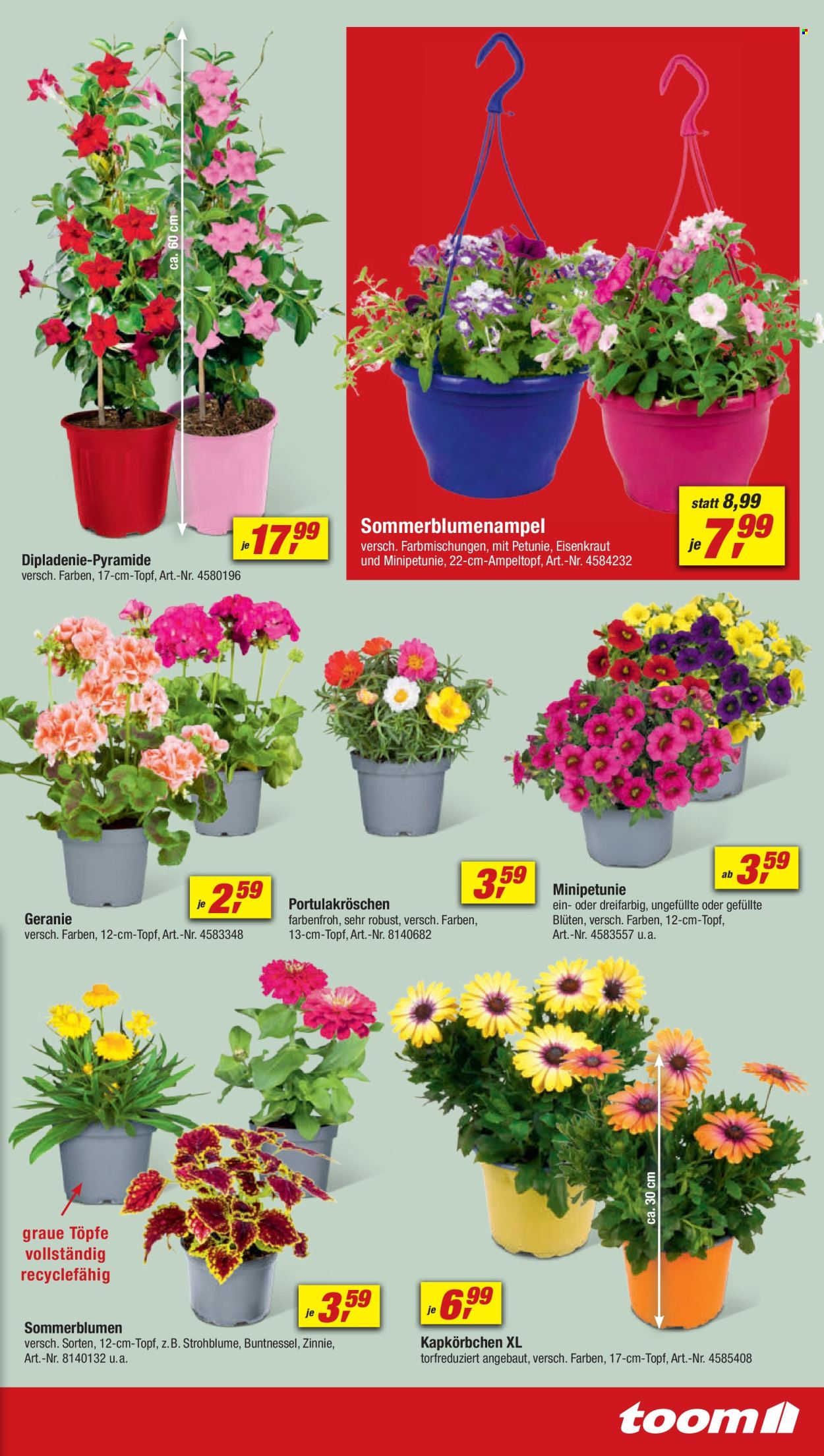 toom Baumarkt Prospekte  - 1.06.2024 - 7.06.2024. Seite 3