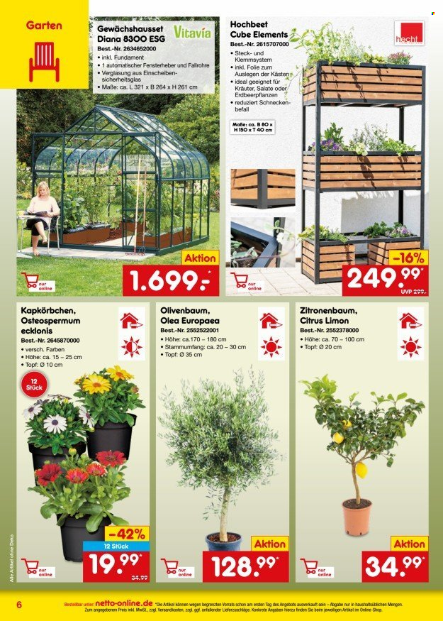 Netto Marken-Discount Prospekte  - 1.06.2024 - 30.06.2024. Seite 6