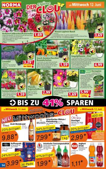 thumbnail - Kaisernelke Verbene/Calibrachoa/Kaisernelke