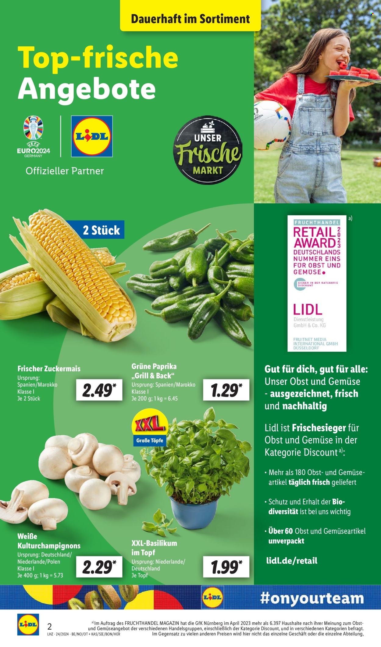 Lidl Prospekte  - 10.06.2024 - 15.06.2024. Seite 2
