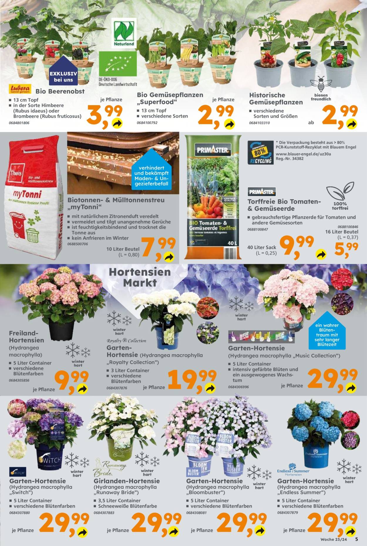 Globus Baumarkt Prospekte  - 3.06.2024 - 8.06.2024. Seite 5