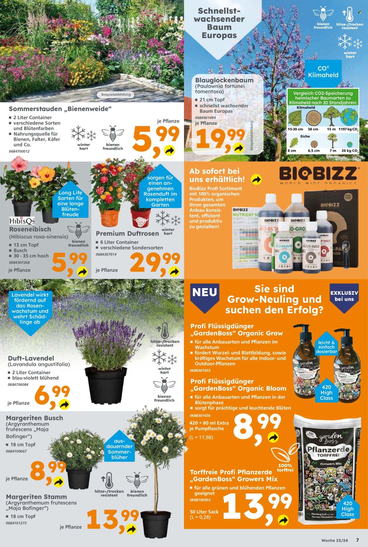 Globus Baumarkt Prospekte  - 3.06.2024 - 8.06.2024. Seite 7