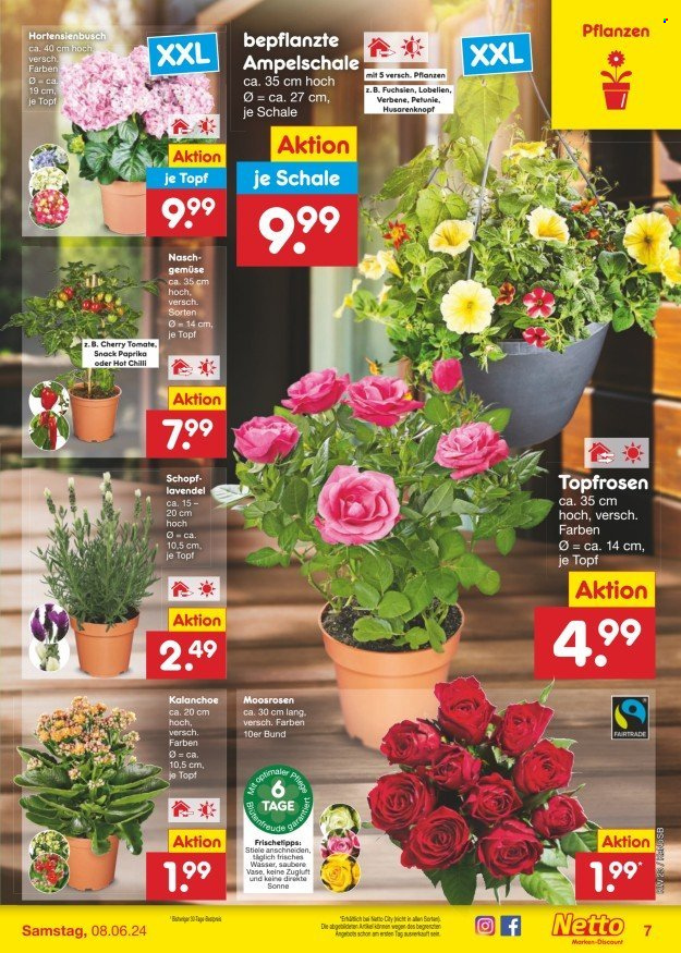 Netto Marken-Discount Prospekte  - 3.06.2024 - 8.06.2024. Seite 7