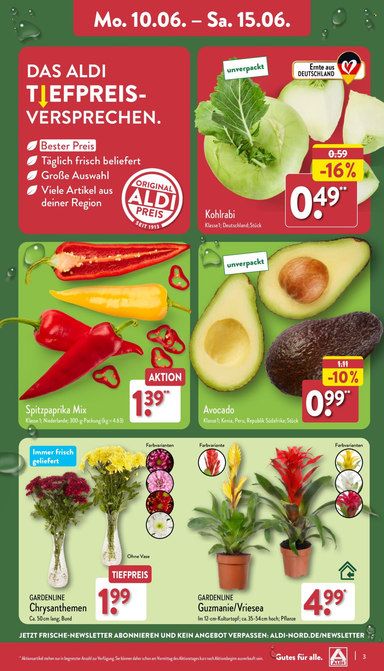ALDI Nord Prospekte  - 10.06.2024 - 15.06.2024. Seite 3