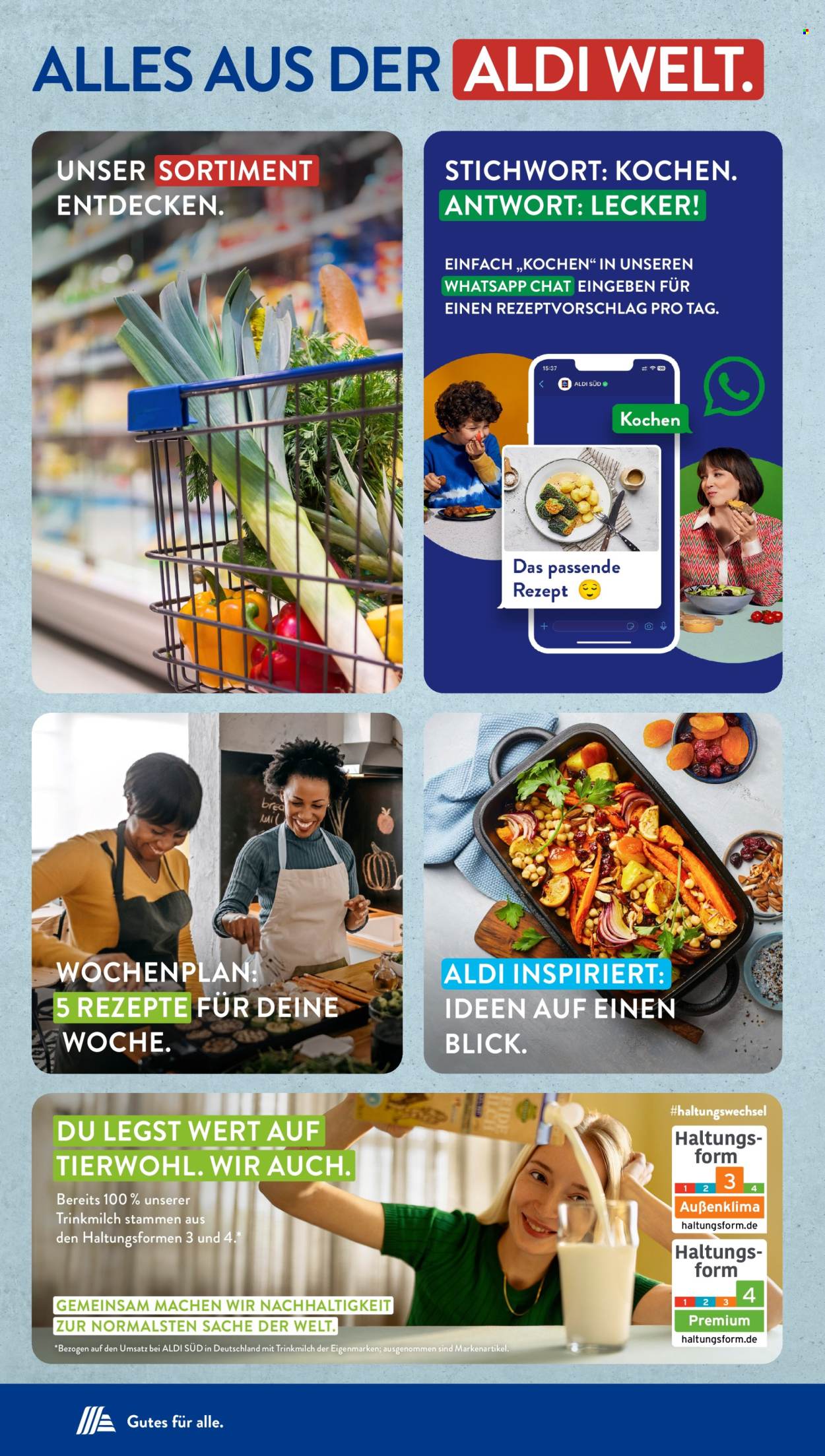 ALDI SÜD Prospekte  - 3.06.2024 - 8.06.2024. Seite 43