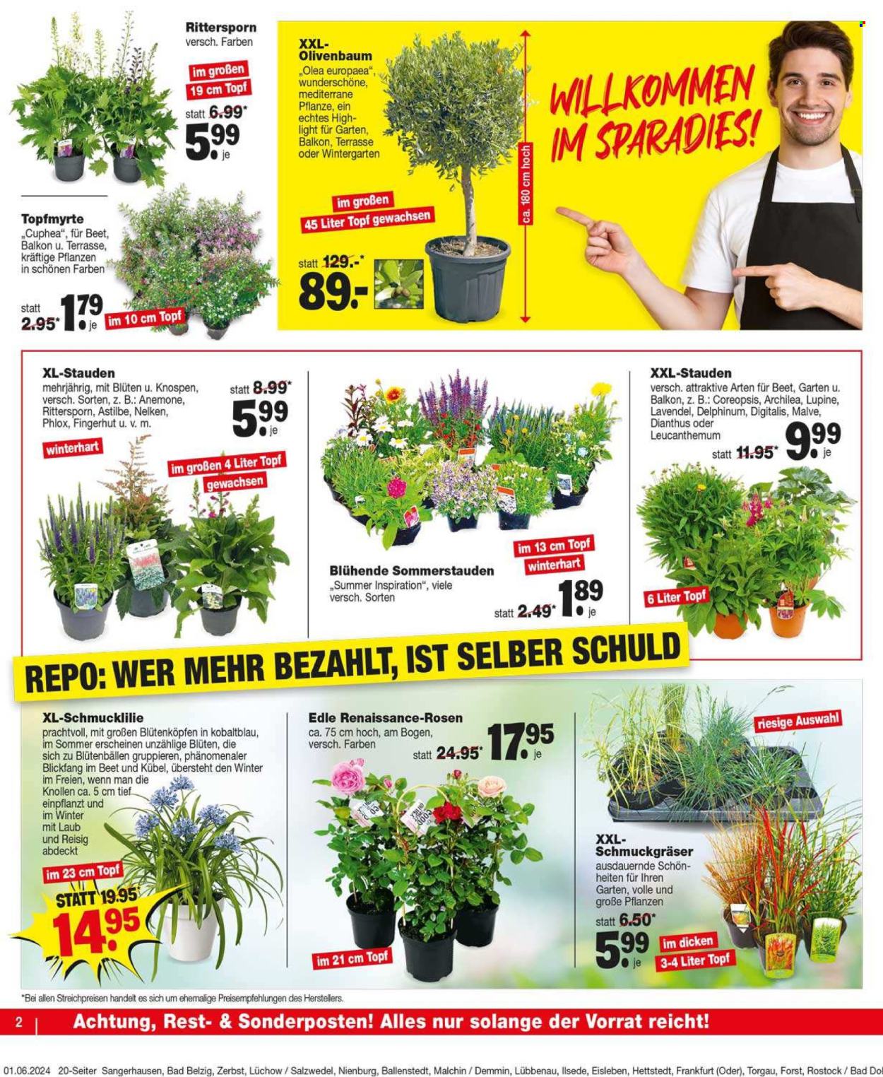 Repo Prospekte  - 3.06.2024 - 8.06.2024. Seite 2