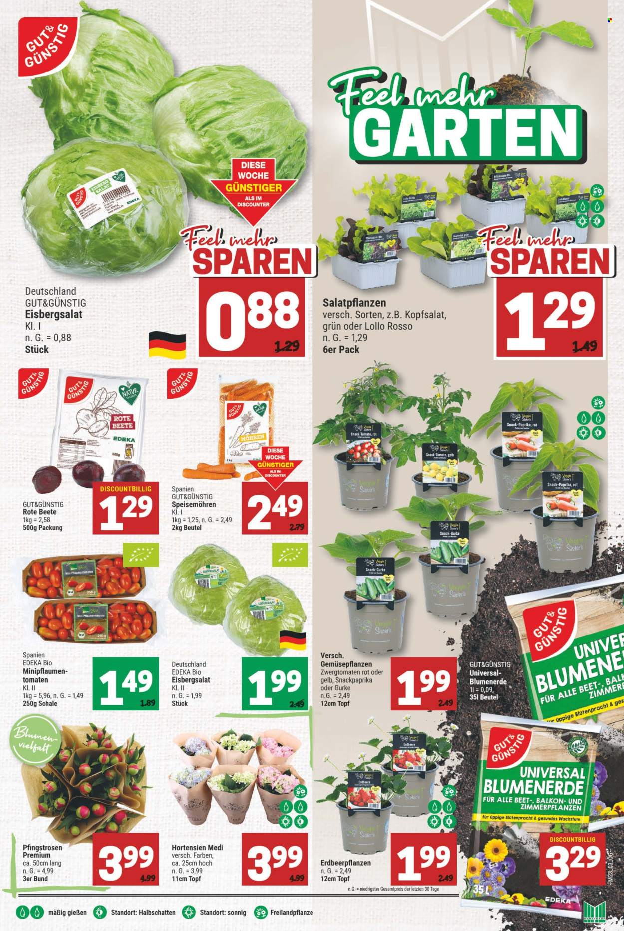 Marktkauf Prospekte  - 3.06.2024 - 8.06.2024. Seite 5