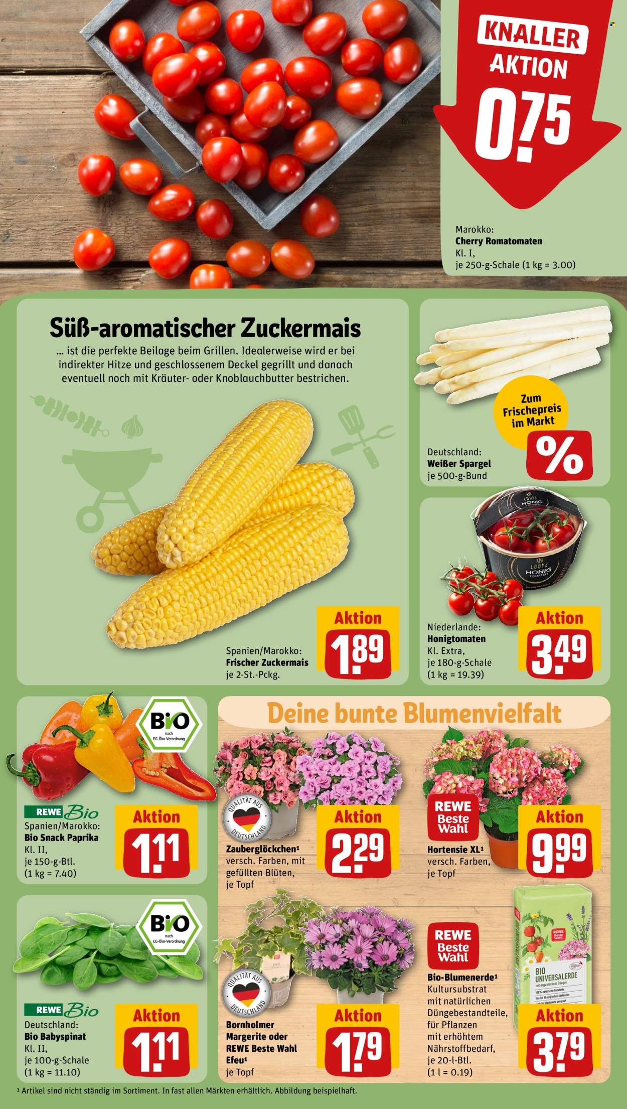 Leták REWE - 10.6.2024 - 15.6.2024. Strana 7