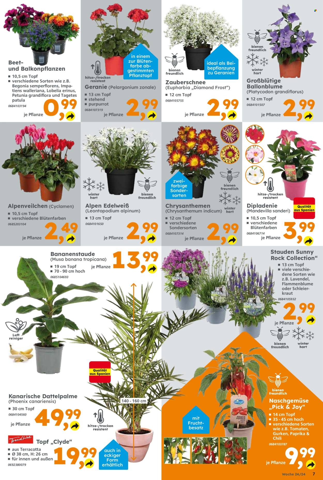 Globus Baumarkt Prospekte  - 10.06.2024 - 15.06.2024. Seite 7