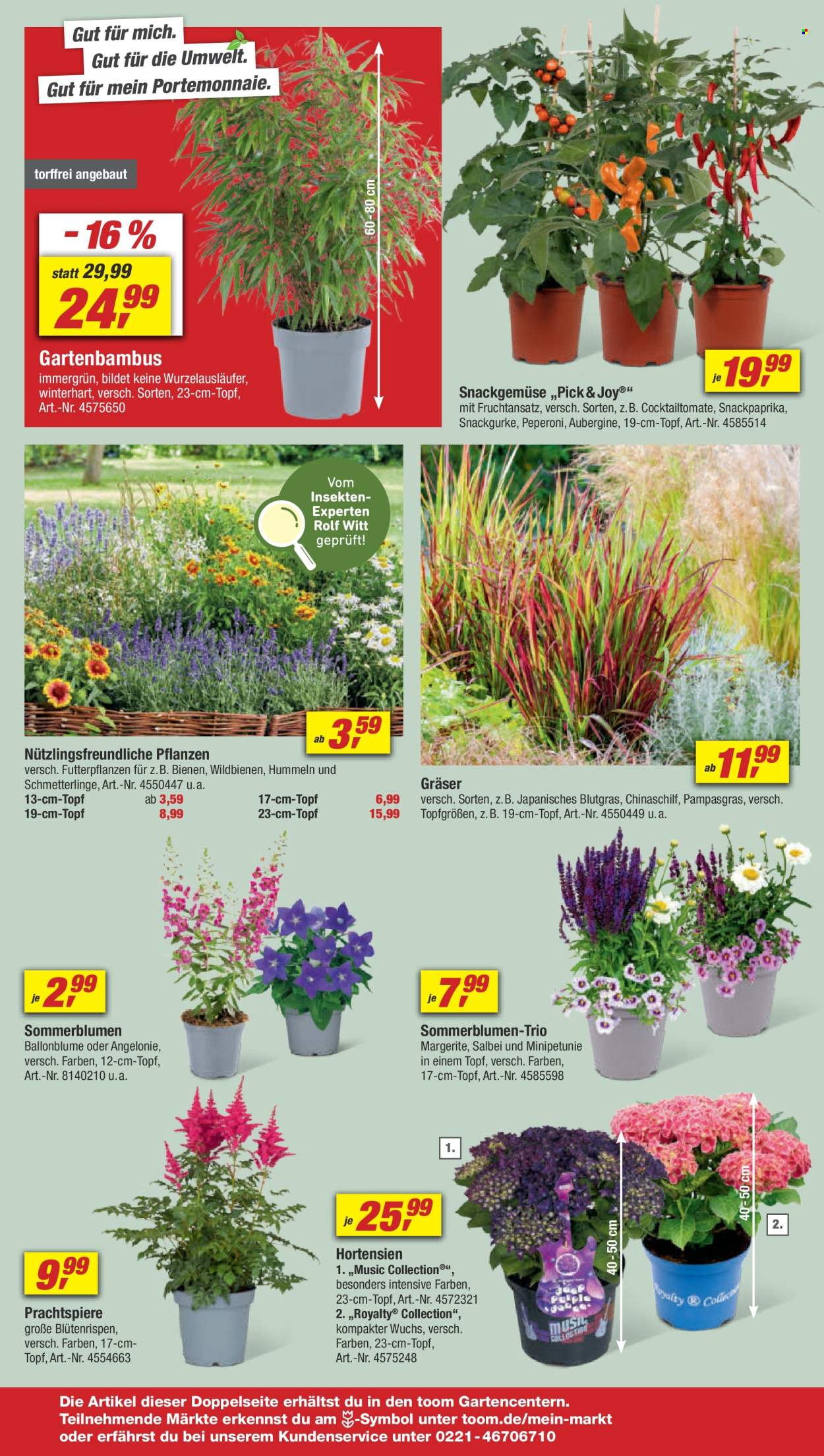 toom Baumarkt Prospekte  - 15.06.2024 - 21.06.2024. Seite 6